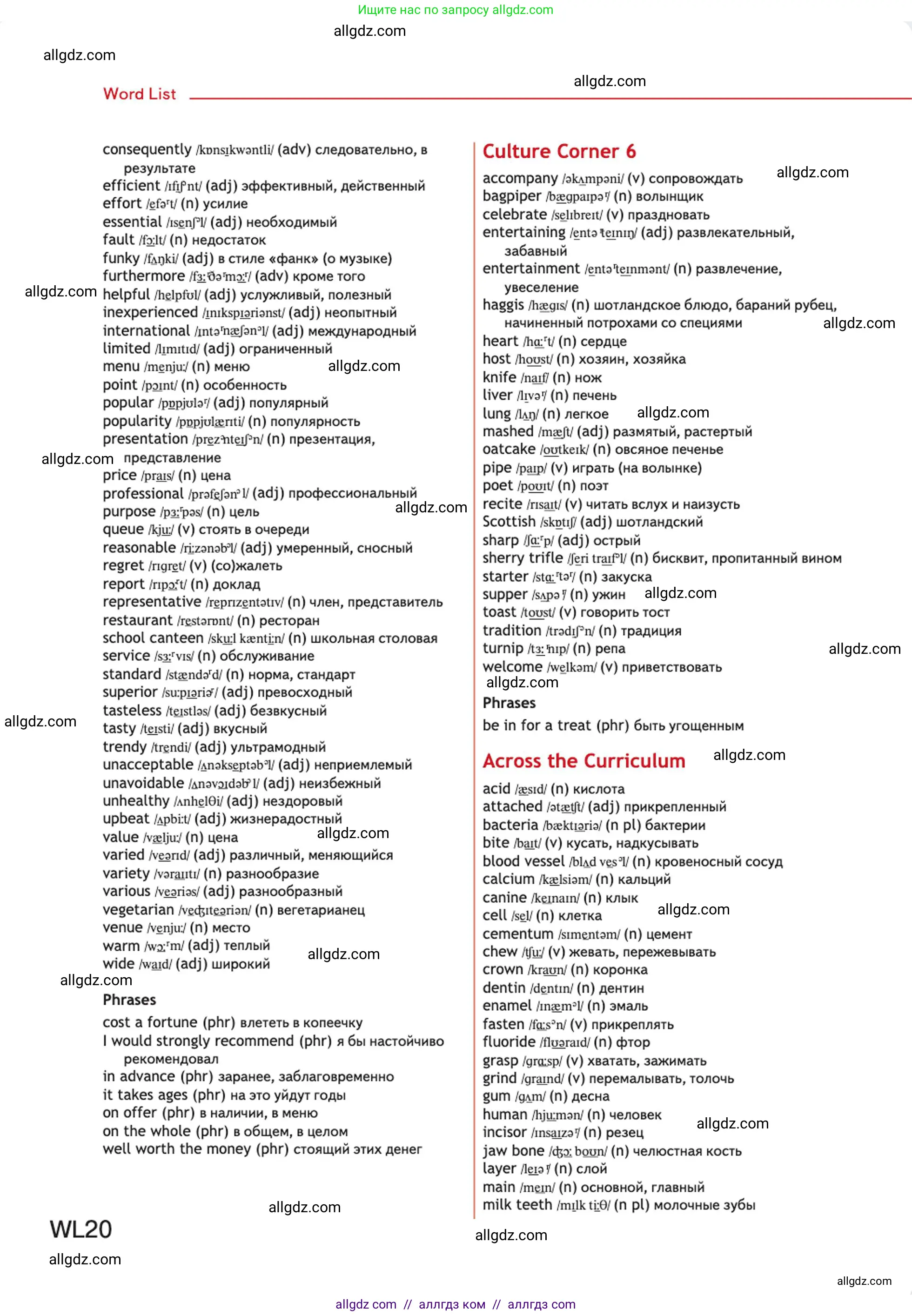 Английский язык (english), 10 класс Учебник (Student's book), авторы: Афанасьева Ольга Васильевна (Afanasyeva Olga), Дули Дженни (Dooley Jenny), Михеева Ирина Владимировна (Mikheeva Irina), Оби Боб (Obee Bob), Эванс Вирджиния (Evans Virginia), издательство Просвещение, Москва, 2019, красного цвета, страница 236