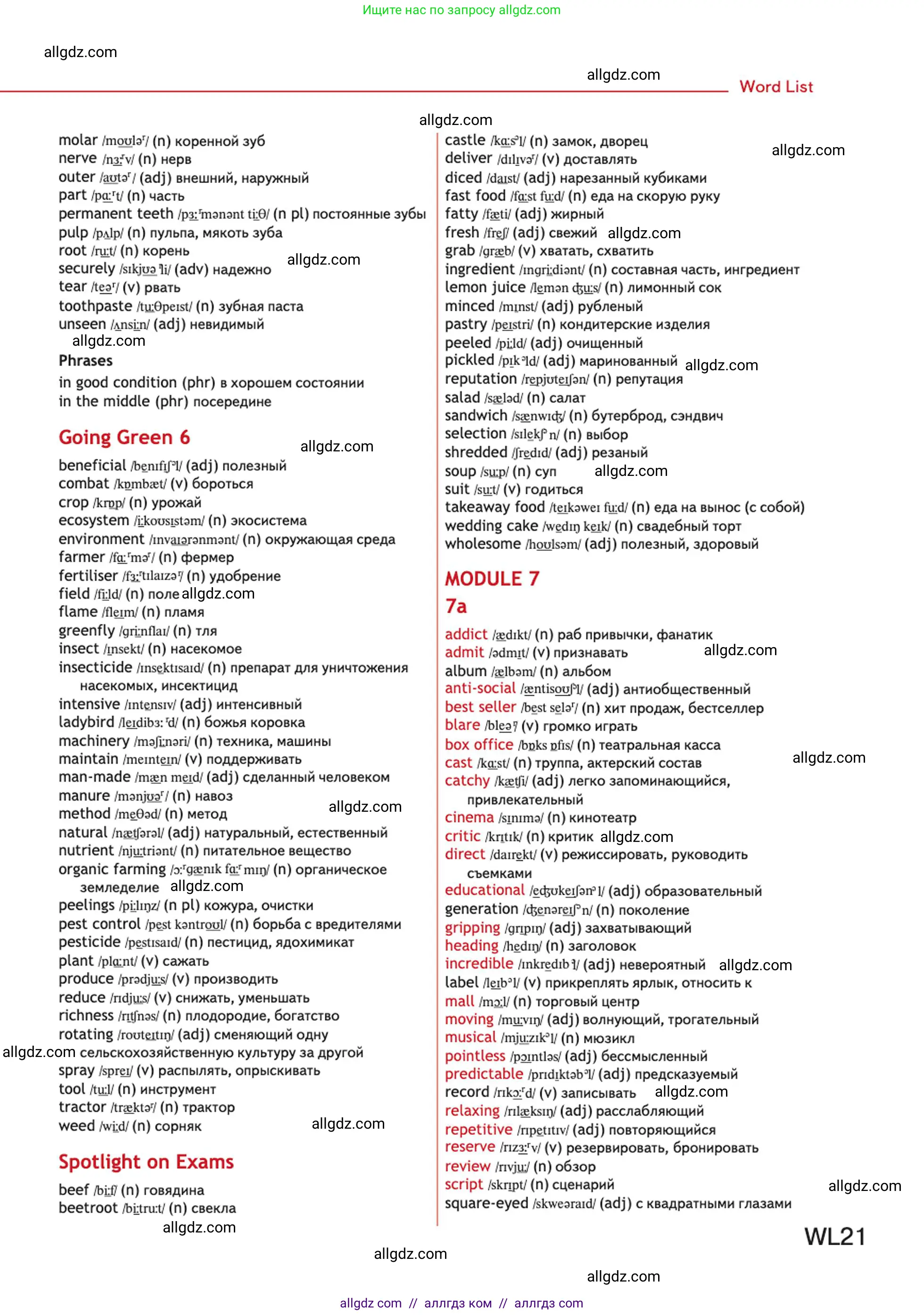 Английский язык (english), 10 класс Учебник (Student's book), авторы: Афанасьева Ольга Васильевна (Afanasyeva Olga), Дули Дженни (Dooley Jenny), Михеева Ирина Владимировна (Mikheeva Irina), Оби Боб (Obee Bob), Эванс Вирджиния (Evans Virginia), издательство Просвещение, Москва, 2019, красного цвета, страница 237