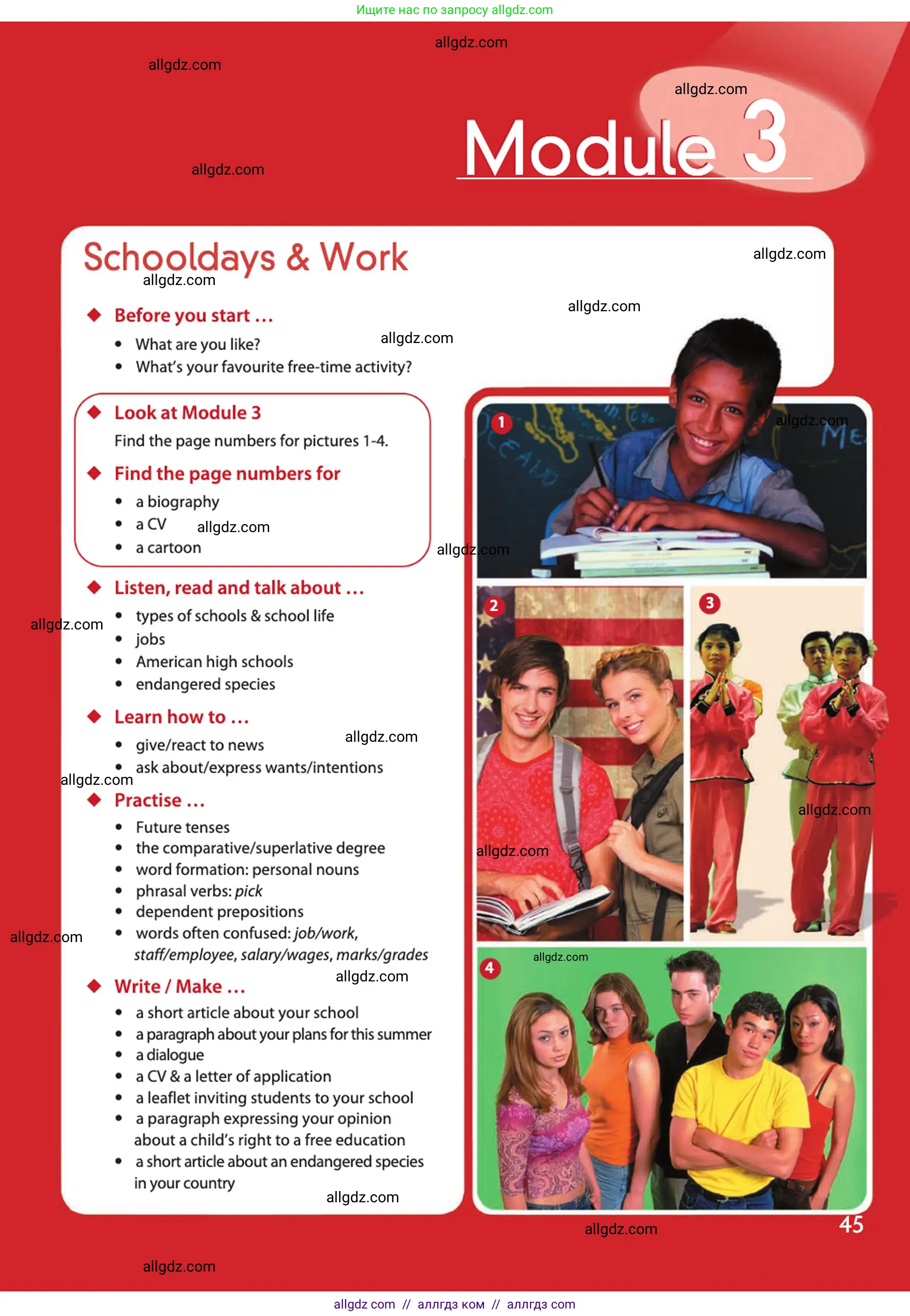 Английский язык (english), 10 класс Учебник (Student's book), авторы: Афанасьева Ольга Васильевна (Afanasyeva Olga), Дули Дженни (Dooley Jenny), Михеева Ирина Владимировна (Mikheeva Irina), Оби Боб (Obee Bob), Эванс Вирджиния (Evans Virginia), издательство Просвещение, Москва, 2019, красного цвета, страница 45