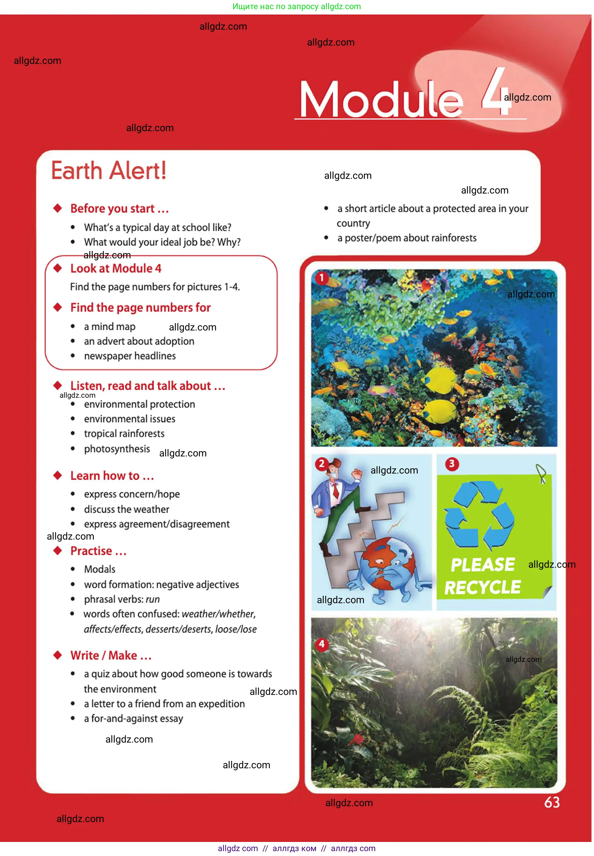 Английский язык (english), 10 класс Учебник (Student's book), авторы: Афанасьева Ольга Васильевна (Afanasyeva Olga), Дули Дженни (Dooley Jenny), Михеева Ирина Владимировна (Mikheeva Irina), Оби Боб (Obee Bob), Эванс Вирджиния (Evans Virginia), издательство Просвещение, Москва, 2019, красного цвета, страница 63