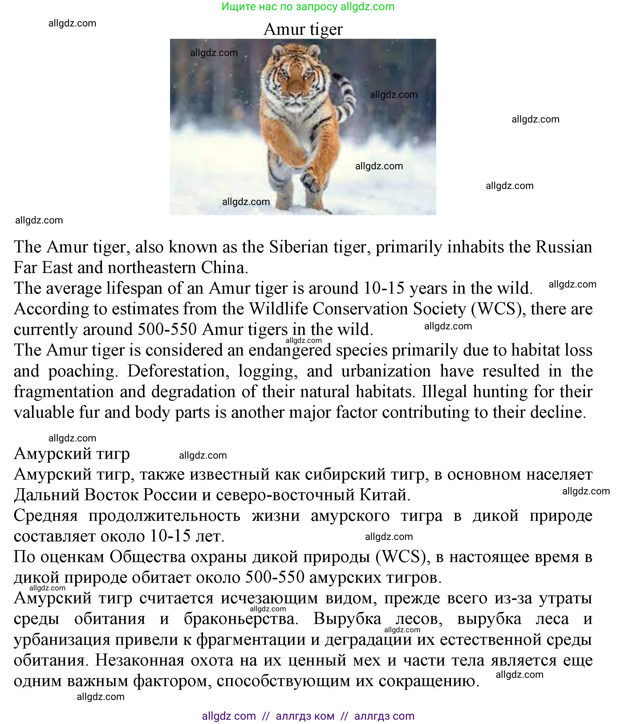 Английский язык (english), 10 класс Учебник (Student's book), авторы: Афанасьева Ольга Васильевна (Afanasyeva Olga), Дули Дженни (Dooley Jenny), Михеева Ирина Владимировна (Mikheeva Irina), Оби Боб (Obee Bob), Эванс Вирджиния (Evans Virginia), издательство Просвещение, Москва, 2019, красного цвета, страница 59, номер 3, Решение 1 (продолжение 4)