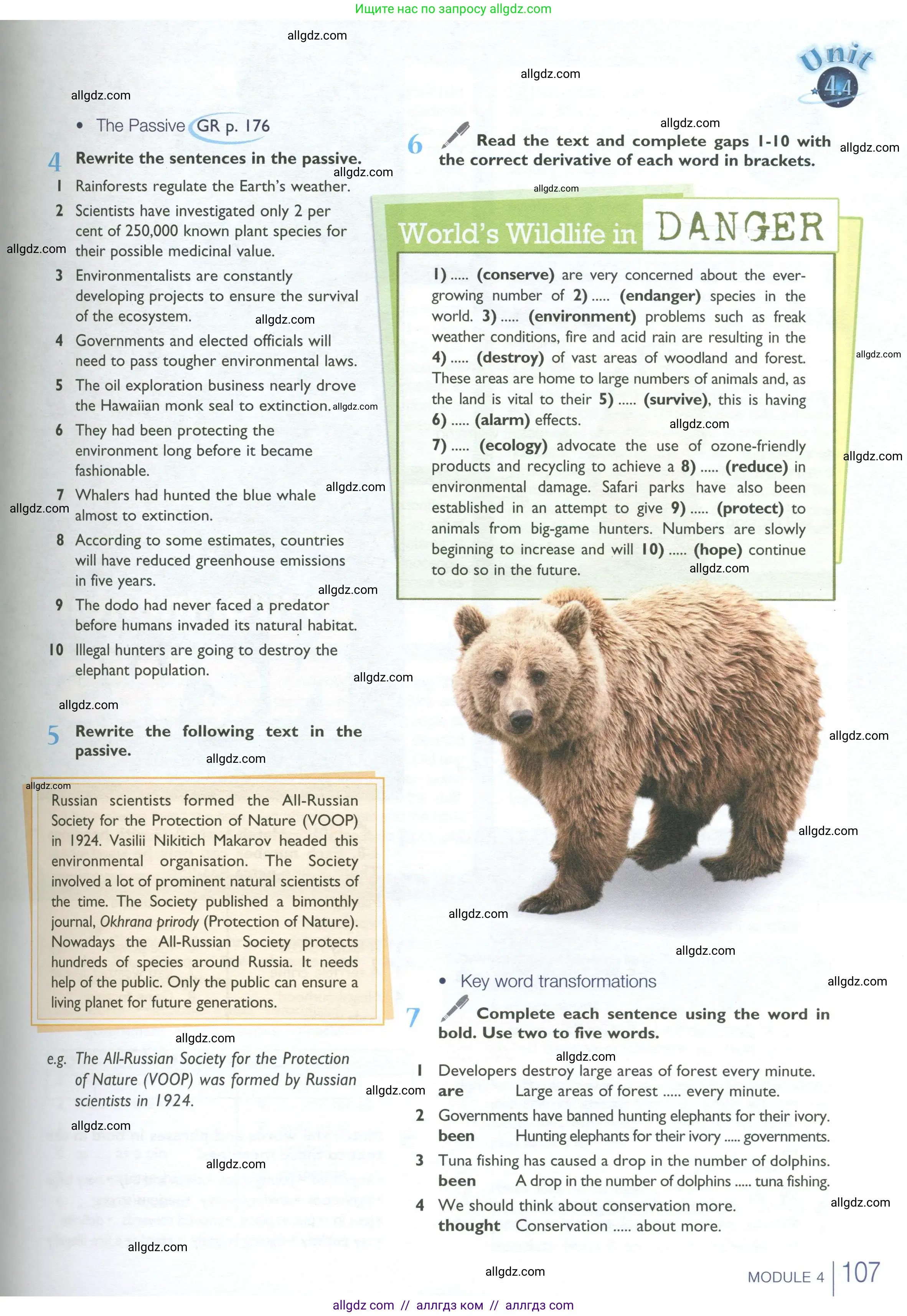 Английский язык (english), 10 класс Учебник (Student's book), авторы: Баранова Ксения Михайловна (Baranova Ksenia), Дули Дженни (Dooley Jenny), Копылова Виктория Викторовна (Kopylova Victoria), Мильруд Радислав Петрович (Millrood Radislav), Эванс Вирджиния (Evans Virginia), издательство Просвещение, Москва, 2019, белого цвета, страница 107