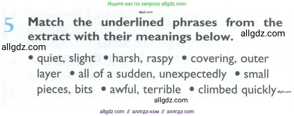Английский язык (english), 10 класс Учебник (Student's book), авторы: Баранова Ксения Михайловна (Baranova Ksenia), Дули Дженни (Dooley Jenny), Копылова Виктория Викторовна (Kopylova Victoria), Мильруд Радислав Петрович (Millrood Radislav), Эванс Вирджиния (Evans Virginia), издательство Просвещение, Москва, 2019, белого цвета, страница 61, номер 5, Условие