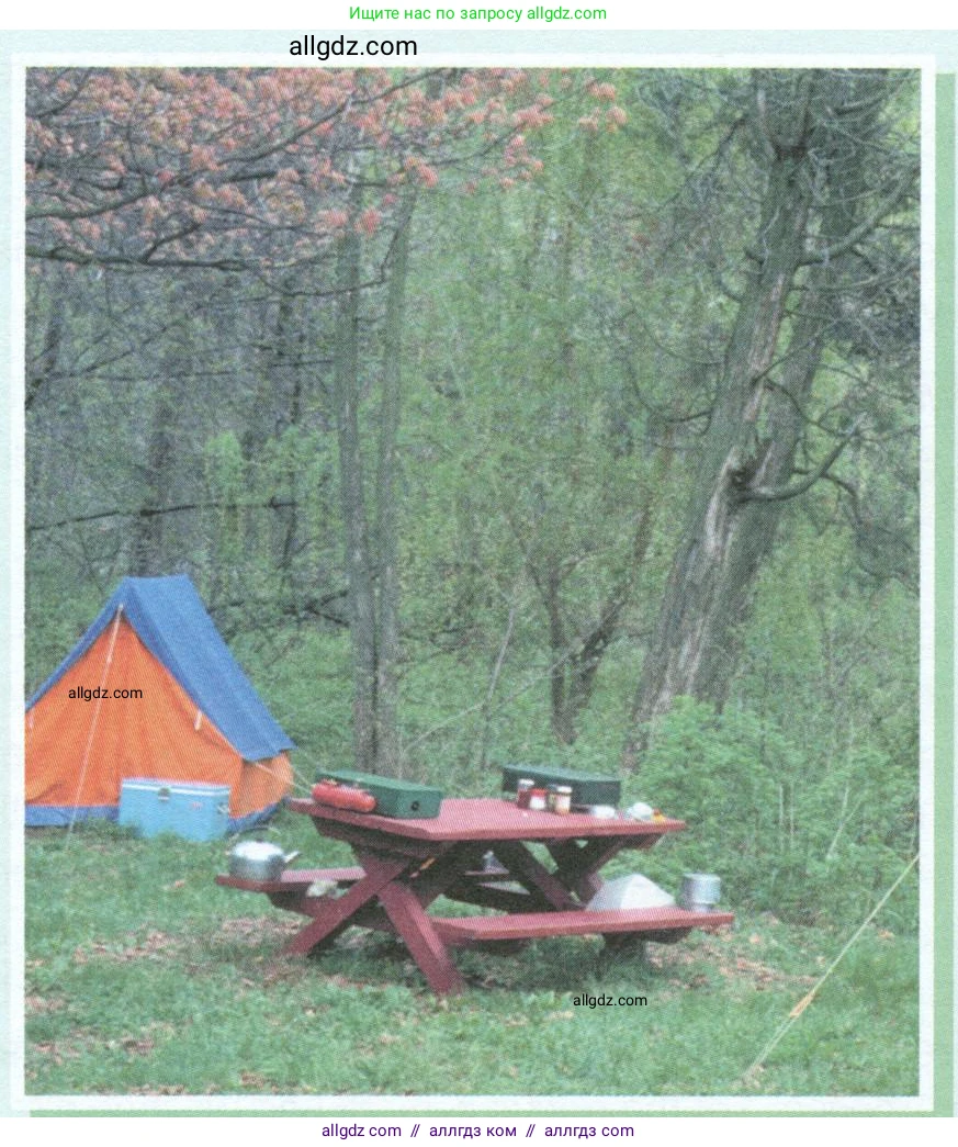 Английский язык (english), 10 класс Учебник (Student's book), авторы: Баранова Ксения Михайловна (Baranova Ksenia), Дули Дженни (Dooley Jenny), Копылова Виктория Викторовна (Kopylova Victoria), Мильруд Радислав Петрович (Millrood Radislav), Эванс Вирджиния (Evans Virginia), издательство Просвещение, Москва, 2019, белого цвета, страница 94, номер 1, Условие (продолжение 2)