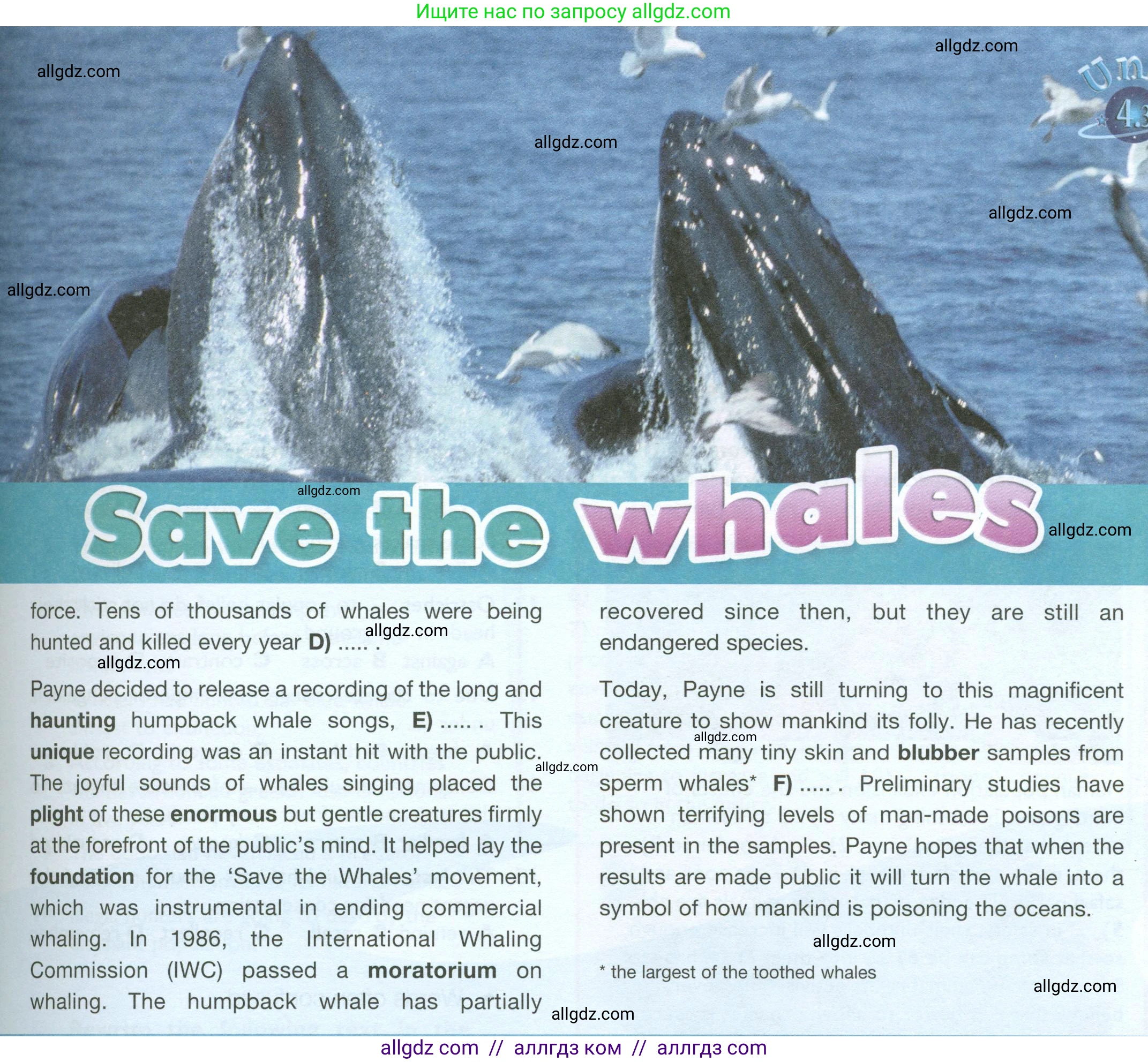 Английский язык (english), 10 класс Учебник (Student's book), авторы: Баранова Ксения Михайловна (Baranova Ksenia), Дули Дженни (Dooley Jenny), Копылова Виктория Викторовна (Kopylova Victoria), Мильруд Радислав Петрович (Millrood Radislav), Эванс Вирджиния (Evans Virginia), издательство Просвещение, Москва, 2019, белого цвета, страница 104, номер 2, Условие (продолжение 3)