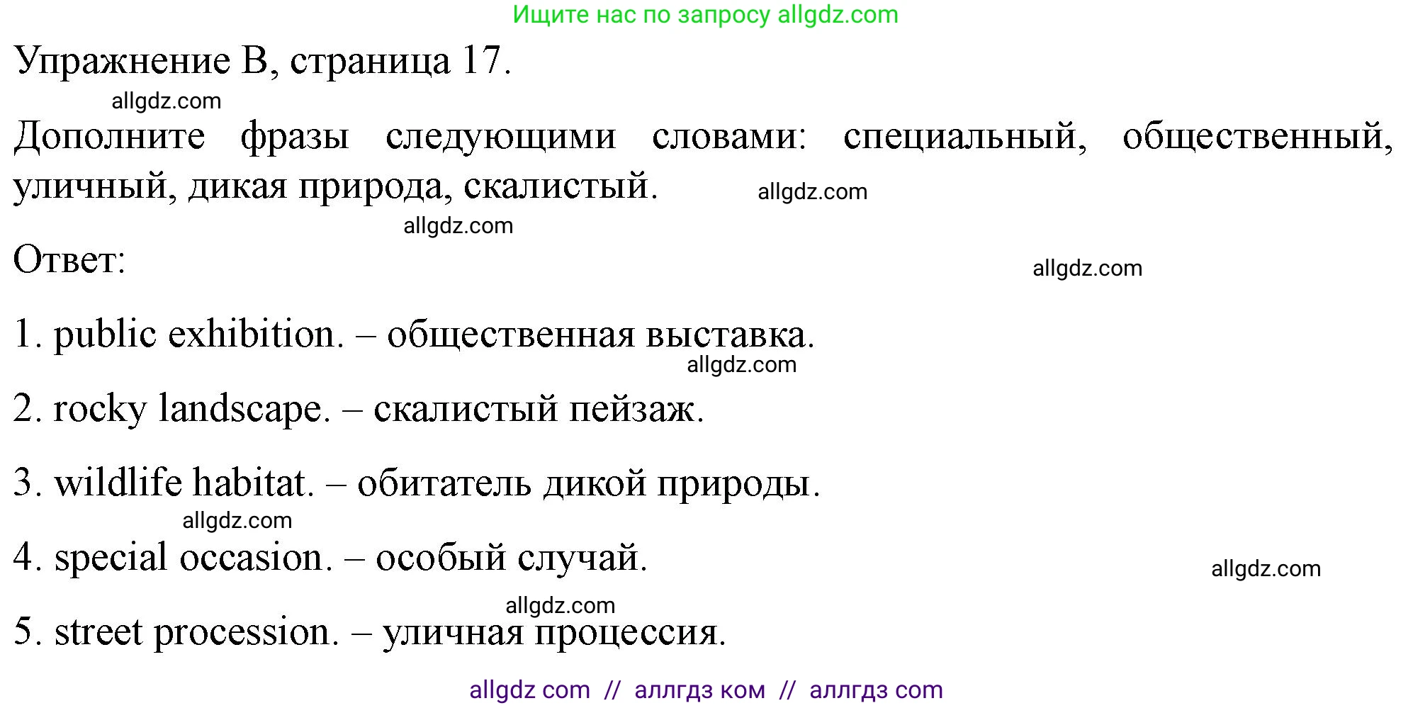 Английский язык (english), 10 класс контрольные задания (test booklet), авторы: Баранова Ксения Михайловна (Baranova Ksenia), Дули Дженни (Dooley Jenny), Копылова Виктория Викторовна (Kopylova Victoria), Мильруд Радислав Петрович (Millrood Radislav), Эванс Вирджиния (Evans Virginia), издательство Просвещение, Москва, 2019, серого цвета, страница 17, номер B, Решение