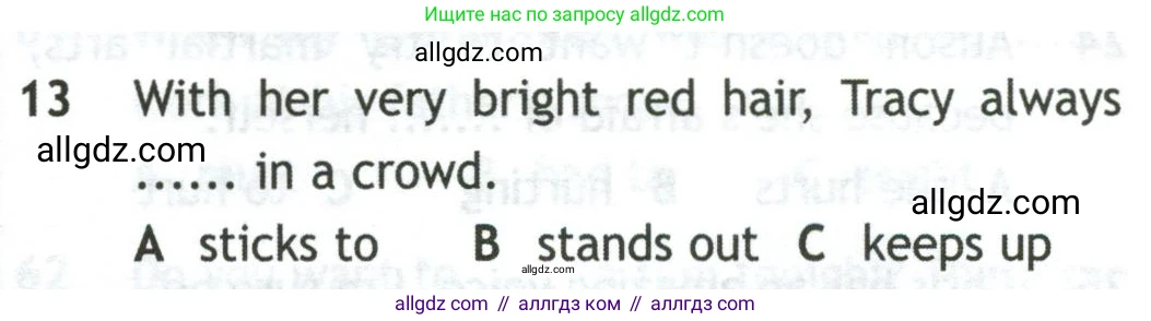 Английский язык (english), 10 класс контрольные задания (test booklet), авторы: Афанасьева Ольга Васильевна (Afanasyeva Olga), Дули Дженни (Dooley Jenny), Михеева Ирина Владимировна (Mikheeva Irina), Эванс Вирджиния (Evans Virginia), издательство Просвещение, Москва, 2019, красного цвета, страница 31, номер 13, Условие