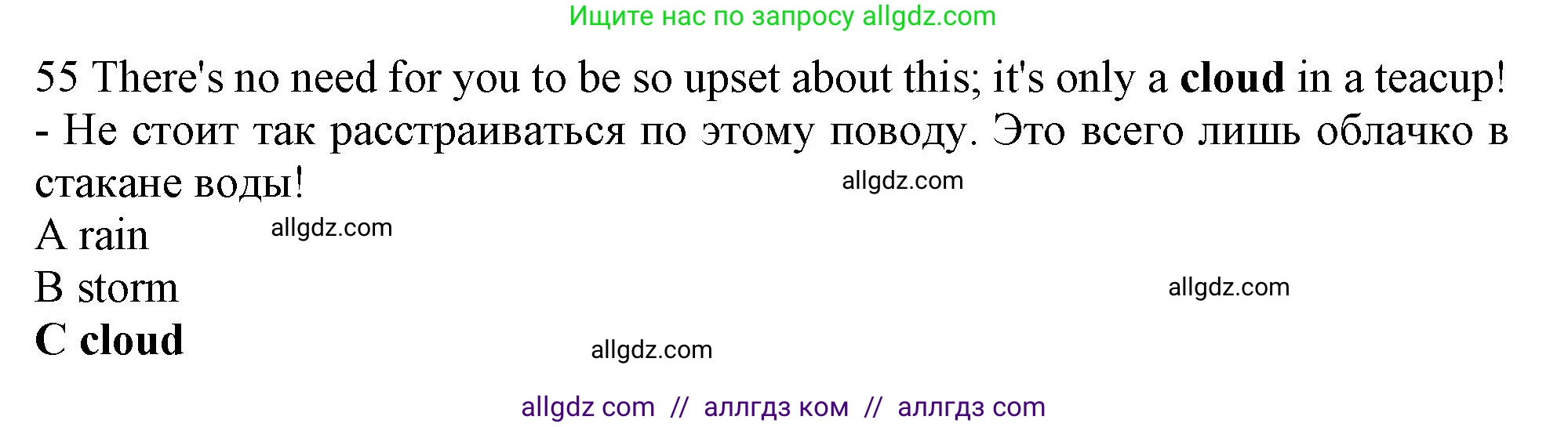 Английский язык (english), 10 класс контрольные задания (test booklet), авторы: Афанасьева Ольга Васильевна (Afanasyeva Olga), Дули Дженни (Dooley Jenny), Михеева Ирина Владимировна (Mikheeva Irina), Эванс Вирджиния (Evans Virginia), издательство Просвещение, Москва, 2019, красного цвета, страница 33, номер 55, Решение 1