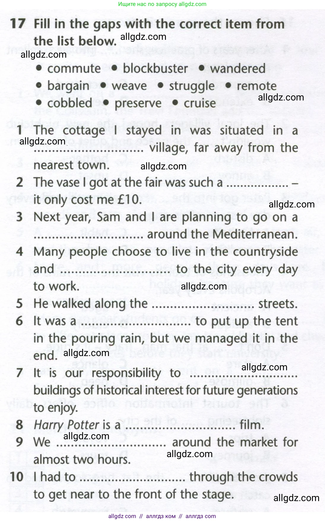 Английский язык (english), 10 класс Лексический практикум (vocabulary practice), авторы: Баранова Ксения Михайловна (Baranova Ksenia), Дули Дженни (Dooley Jenny), Копылова Виктория Викторовна (Kopylova Victoria), Мильруд Радислав Петрович (Millrood Radislav), Эванс Вирджиния (Evans Virginia), издательство Просвещение, Москва, 2019, серого цвета, страница 18, номер 17, Условие