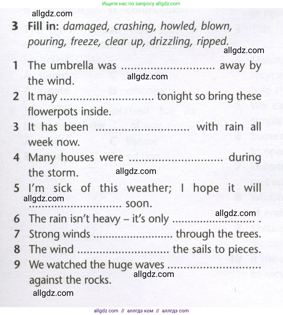 Английский язык (english), 10 класс Лексический практикум (vocabulary practice), авторы: Баранова Ксения Михайловна (Baranova Ksenia), Дули Дженни (Dooley Jenny), Копылова Виктория Викторовна (Kopylova Victoria), Мильруд Радислав Петрович (Millrood Radislav), Эванс Вирджиния (Evans Virginia), издательство Просвещение, Москва, 2019, серого цвета, страница 19, номер 3, Условие