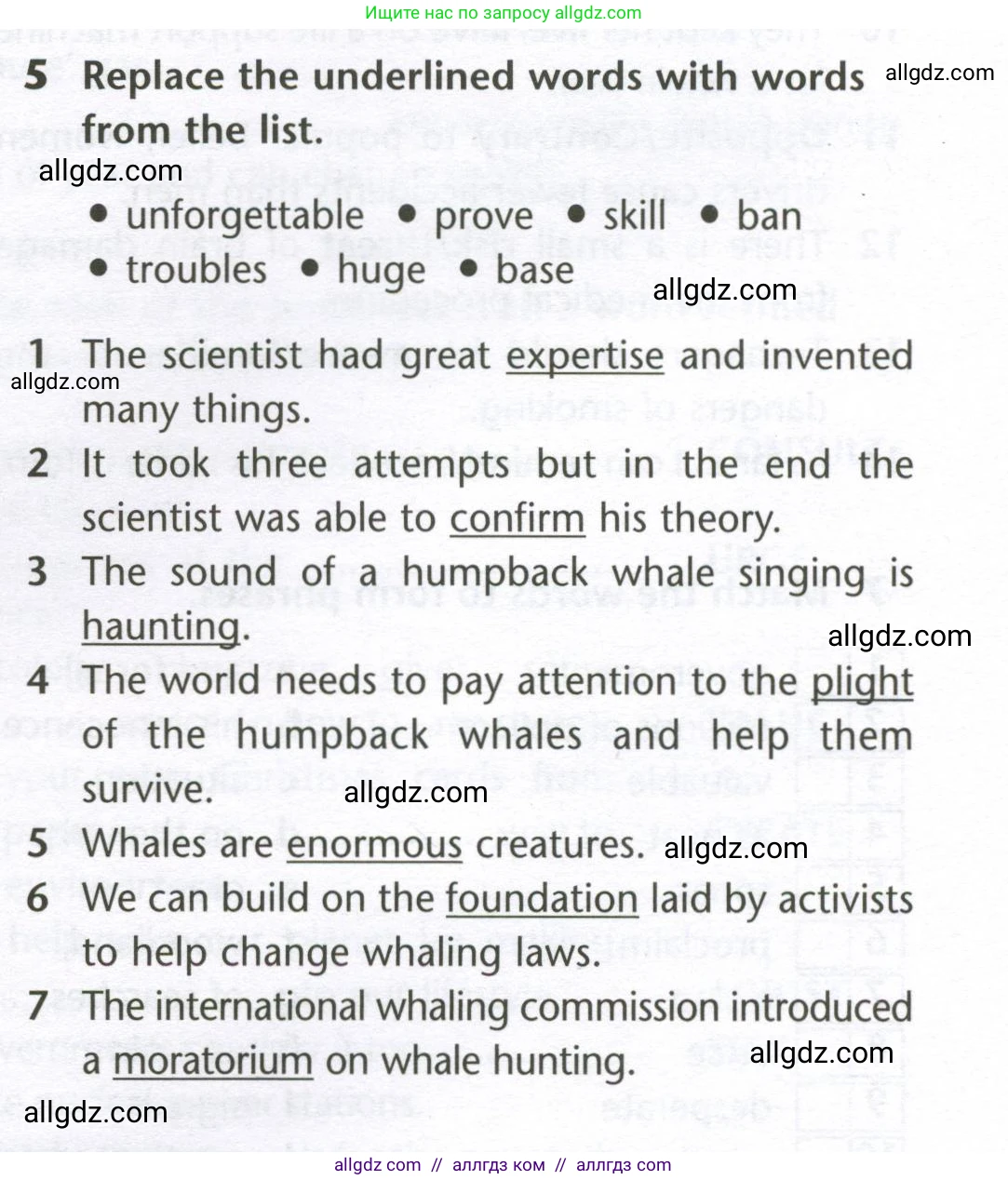 Английский язык (english), 10 класс Лексический практикум (vocabulary practice), авторы: Баранова Ксения Михайловна (Baranova Ksenia), Дули Дженни (Dooley Jenny), Копылова Виктория Викторовна (Kopylova Victoria), Мильруд Радислав Петрович (Millrood Radislav), Эванс Вирджиния (Evans Virginia), издательство Просвещение, Москва, 2019, серого цвета, страница 19, номер 5, Условие