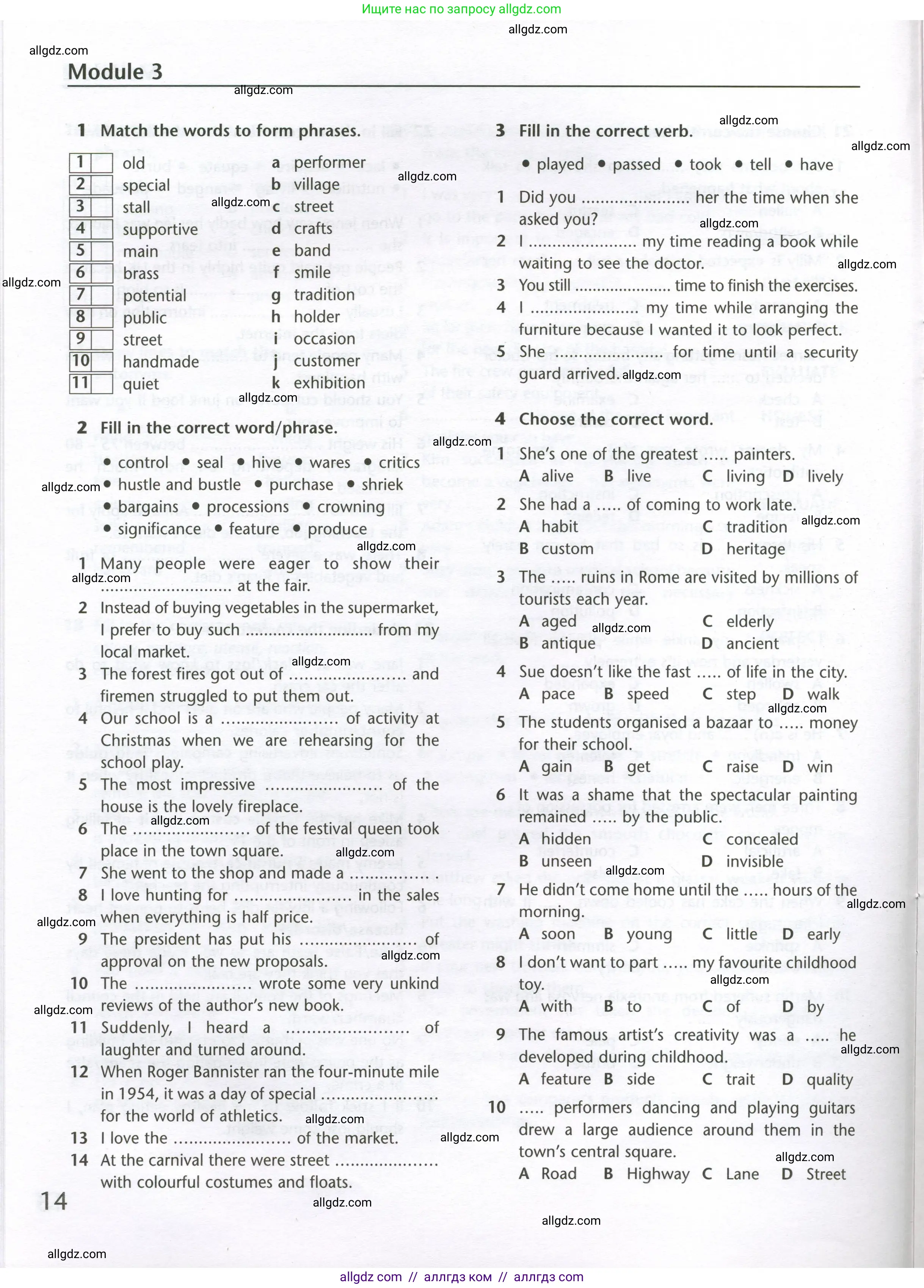 Английский язык (english), 10 класс Лексический практикум (vocabulary practice), авторы: Баранова Ксения Михайловна (Baranova Ksenia), Дули Дженни (Dooley Jenny), Копылова Виктория Викторовна (Kopylova Victoria), Мильруд Радислав Петрович (Millrood Radislav), Эванс Вирджиния (Evans Virginia), издательство Просвещение, Москва, 2019, серого цвета, страница 14