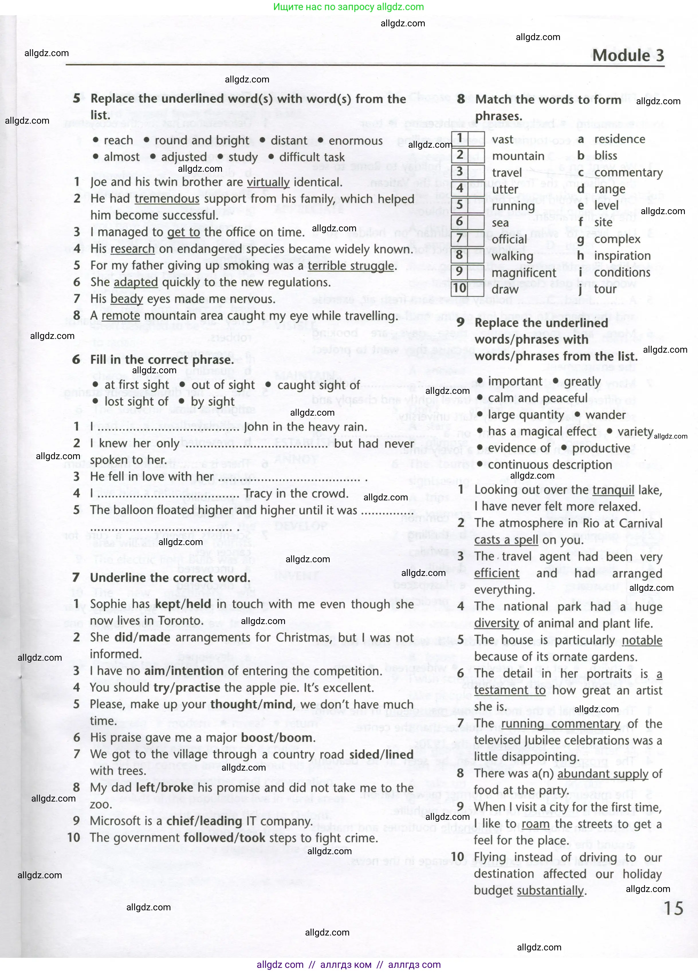 Английский язык (english), 10 класс Лексический практикум (vocabulary practice), авторы: Баранова Ксения Михайловна (Baranova Ksenia), Дули Дженни (Dooley Jenny), Копылова Виктория Викторовна (Kopylova Victoria), Мильруд Радислав Петрович (Millrood Radislav), Эванс Вирджиния (Evans Virginia), издательство Просвещение, Москва, 2019, серого цвета, страница 15