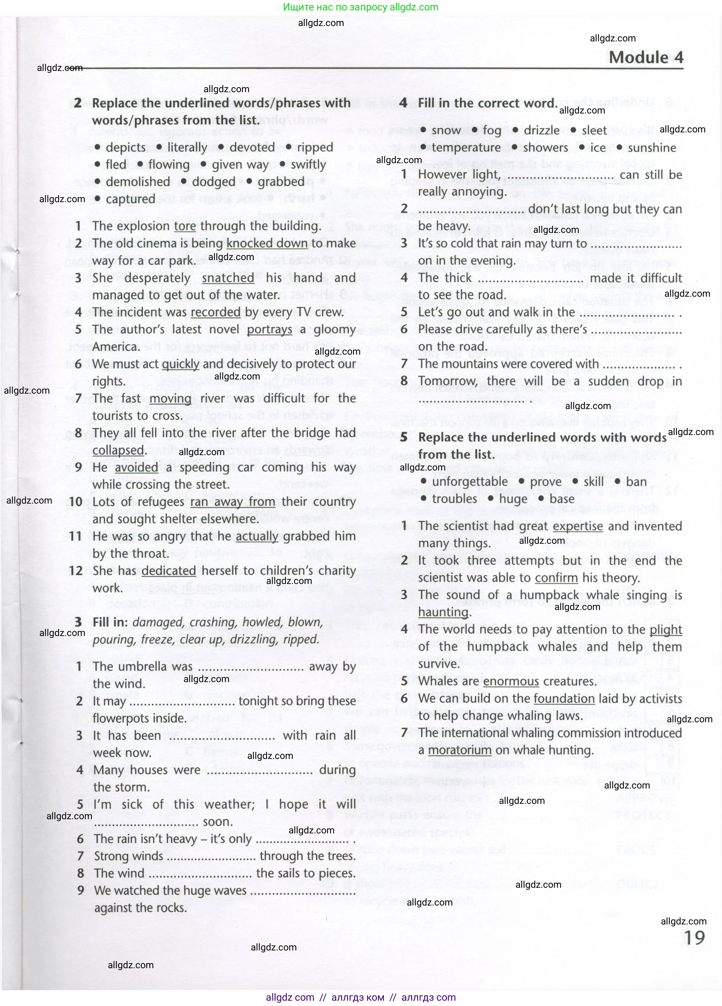 Английский язык (english), 10 класс Лексический практикум (vocabulary practice), авторы: Баранова Ксения Михайловна (Baranova Ksenia), Дули Дженни (Dooley Jenny), Копылова Виктория Викторовна (Kopylova Victoria), Мильруд Радислав Петрович (Millrood Radislav), Эванс Вирджиния (Evans Virginia), издательство Просвещение, Москва, 2019, серого цвета, страница 19