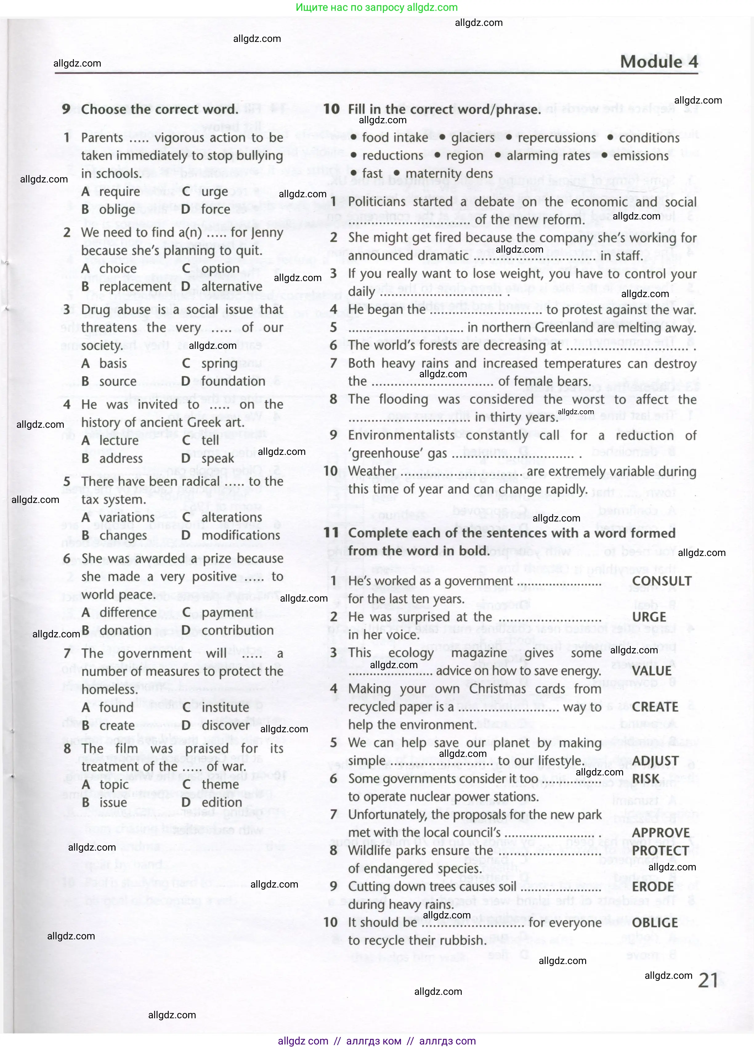 Английский язык (english), 10 класс Лексический практикум (vocabulary practice), авторы: Баранова Ксения Михайловна (Baranova Ksenia), Дули Дженни (Dooley Jenny), Копылова Виктория Викторовна (Kopylova Victoria), Мильруд Радислав Петрович (Millrood Radislav), Эванс Вирджиния (Evans Virginia), издательство Просвещение, Москва, 2019, серого цвета, страница 21