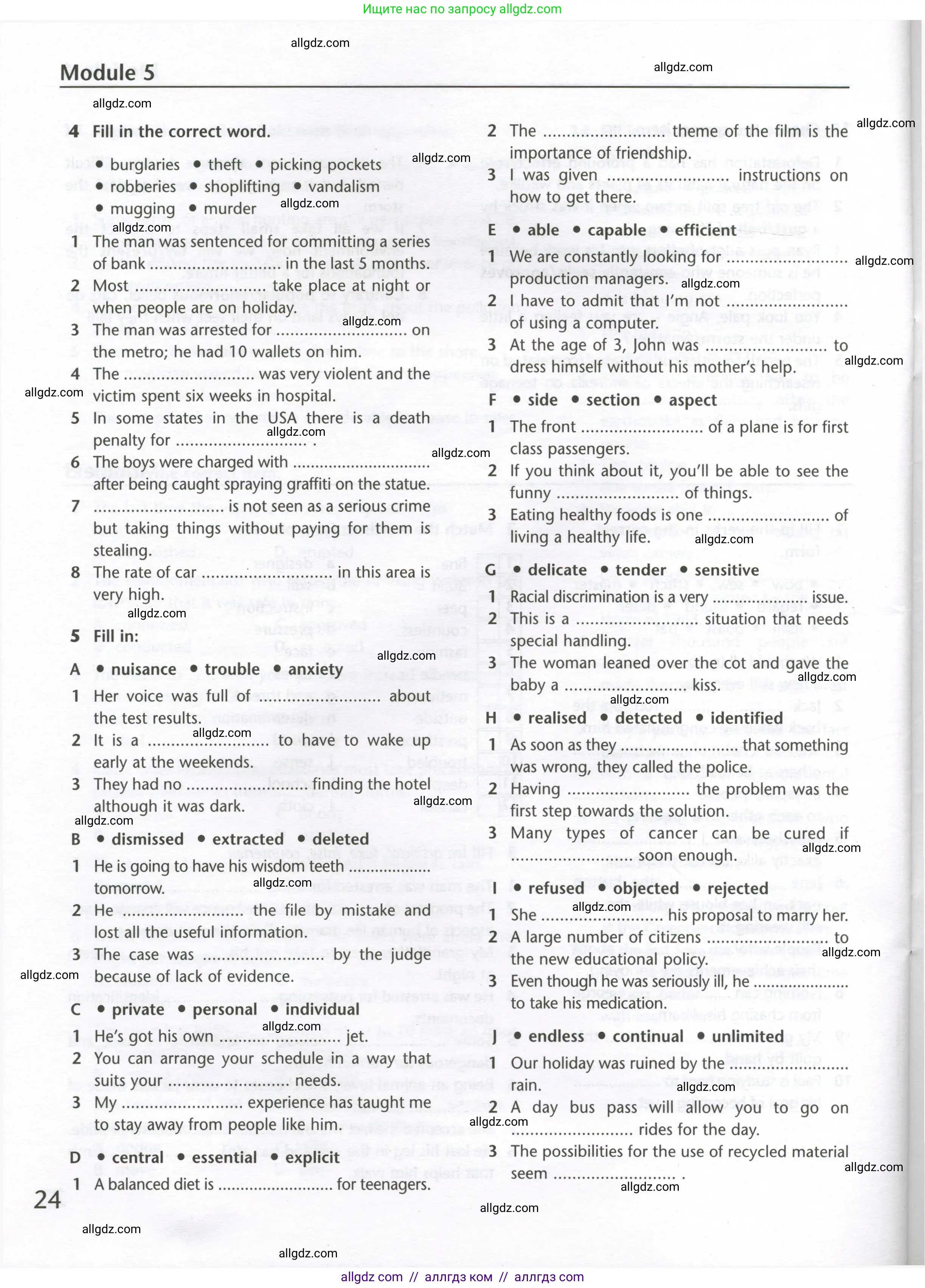 Английский язык (english), 10 класс Лексический практикум (vocabulary practice), авторы: Баранова Ксения Михайловна (Baranova Ksenia), Дули Дженни (Dooley Jenny), Копылова Виктория Викторовна (Kopylova Victoria), Мильруд Радислав Петрович (Millrood Radislav), Эванс Вирджиния (Evans Virginia), издательство Просвещение, Москва, 2019, серого цвета, страница 24