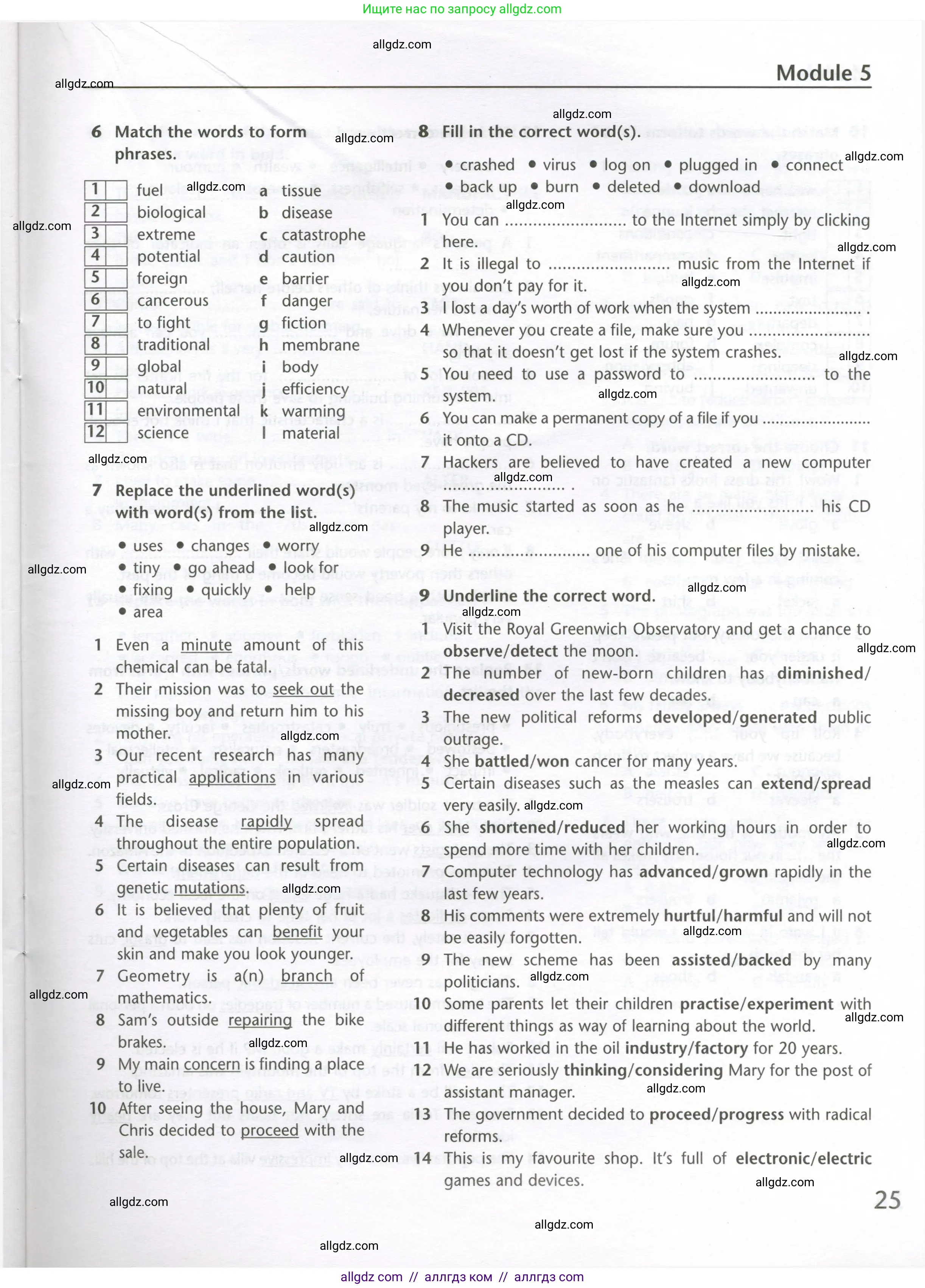 Английский язык (english), 10 класс Лексический практикум (vocabulary practice), авторы: Баранова Ксения Михайловна (Baranova Ksenia), Дули Дженни (Dooley Jenny), Копылова Виктория Викторовна (Kopylova Victoria), Мильруд Радислав Петрович (Millrood Radislav), Эванс Вирджиния (Evans Virginia), издательство Просвещение, Москва, 2019, серого цвета, страница 25