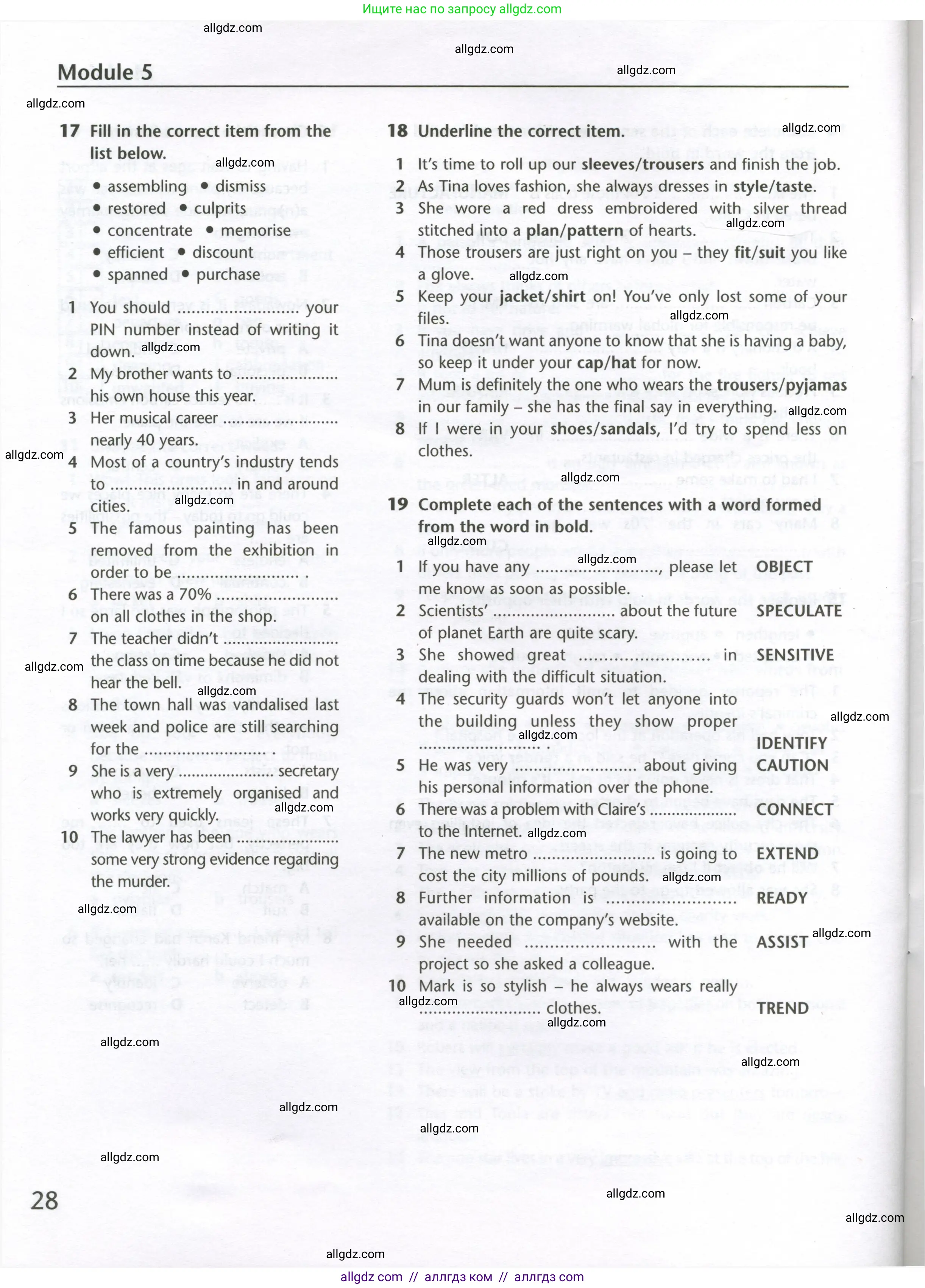 Английский язык (english), 10 класс Лексический практикум (vocabulary practice), авторы: Баранова Ксения Михайловна (Baranova Ksenia), Дули Дженни (Dooley Jenny), Копылова Виктория Викторовна (Kopylova Victoria), Мильруд Радислав Петрович (Millrood Radislav), Эванс Вирджиния (Evans Virginia), издательство Просвещение, Москва, 2019, серого цвета, страница 28