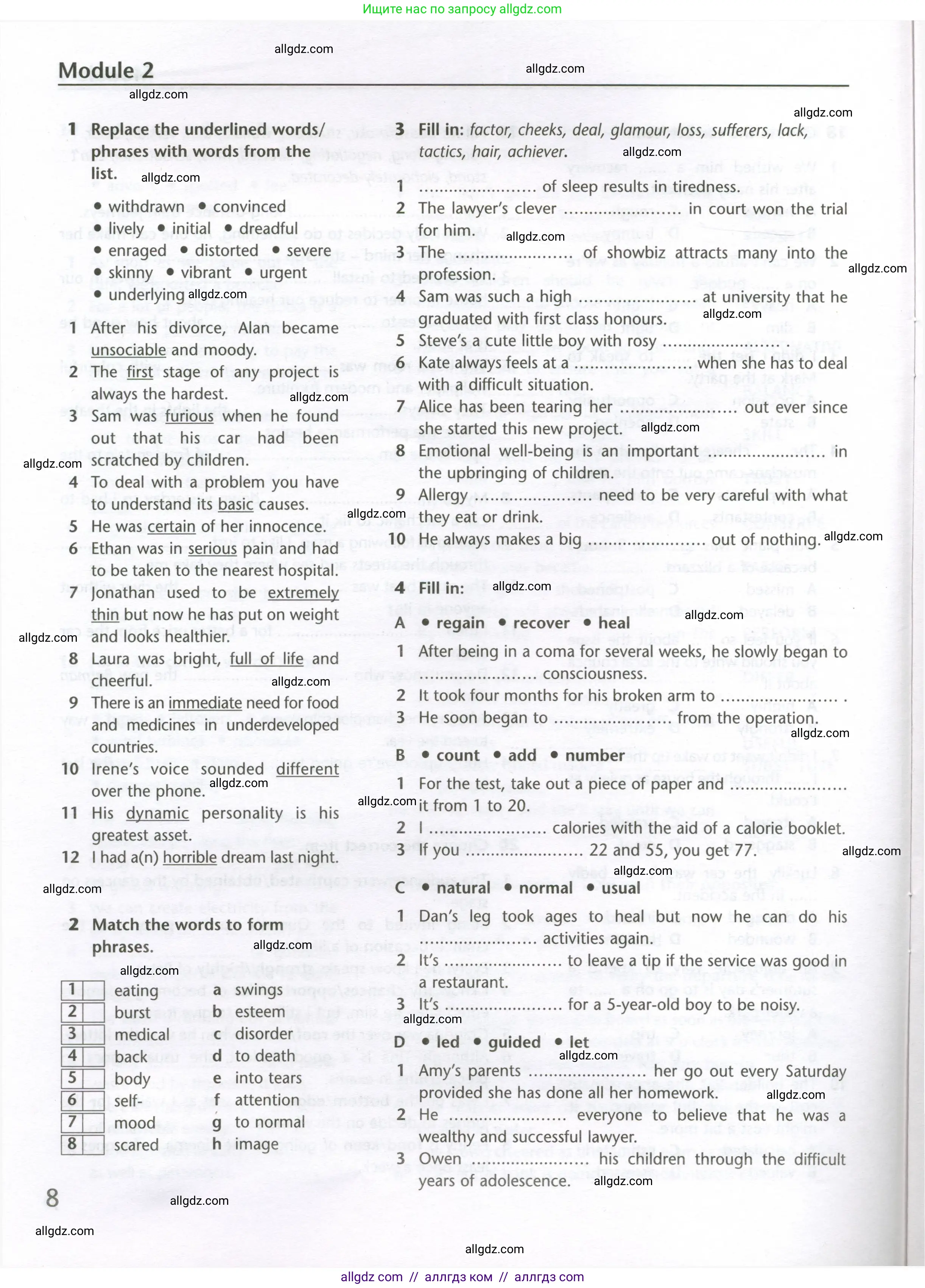 Английский язык (english), 10 класс Лексический практикум (vocabulary practice), авторы: Баранова Ксения Михайловна (Baranova Ksenia), Дули Дженни (Dooley Jenny), Копылова Виктория Викторовна (Kopylova Victoria), Мильруд Радислав Петрович (Millrood Radislav), Эванс Вирджиния (Evans Virginia), издательство Просвещение, Москва, 2019, серого цвета, страница 8