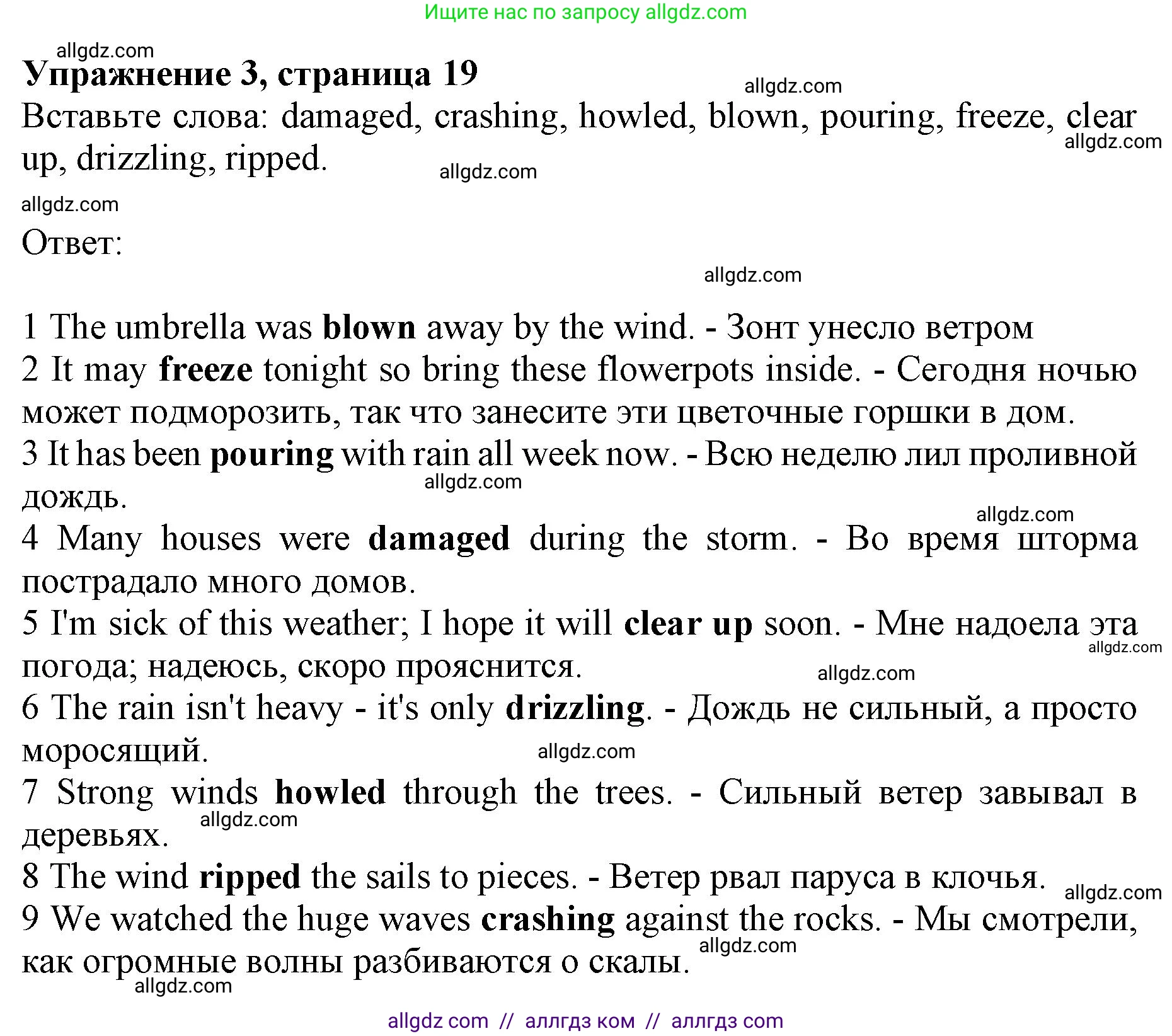 Английский язык (english), 10 класс Лексический практикум (vocabulary practice), авторы: Баранова Ксения Михайловна (Baranova Ksenia), Дули Дженни (Dooley Jenny), Копылова Виктория Викторовна (Kopylova Victoria), Мильруд Радислав Петрович (Millrood Radislav), Эванс Вирджиния (Evans Virginia), издательство Просвещение, Москва, 2019, серого цвета, страница 19, номер 3, Решение 1