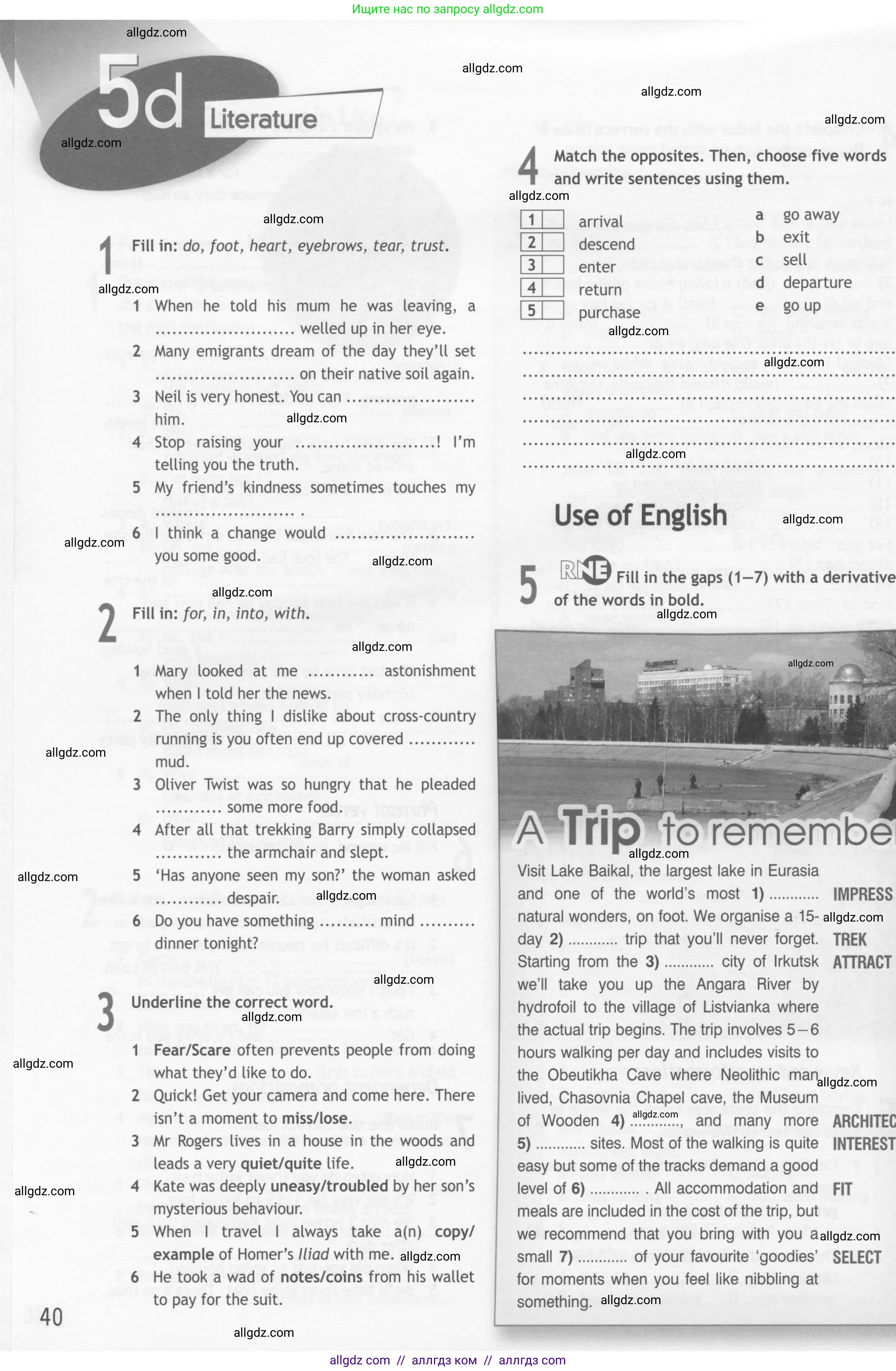 Английский язык (english), 10 класс Рабочая тетрадь (workbook), авторы: Афанасьева Ольга Васильевна (Afanasyeva Olga), Дули Дженни (Dooley Jenny), Михеева Ирина Владимировна (Mikheeva Irina), Оби Боб (Obee Bob), Эванс Вирджиния (Evans Virginia), издательство Просвещение, Москва, 2019, красного цвета, страница 40