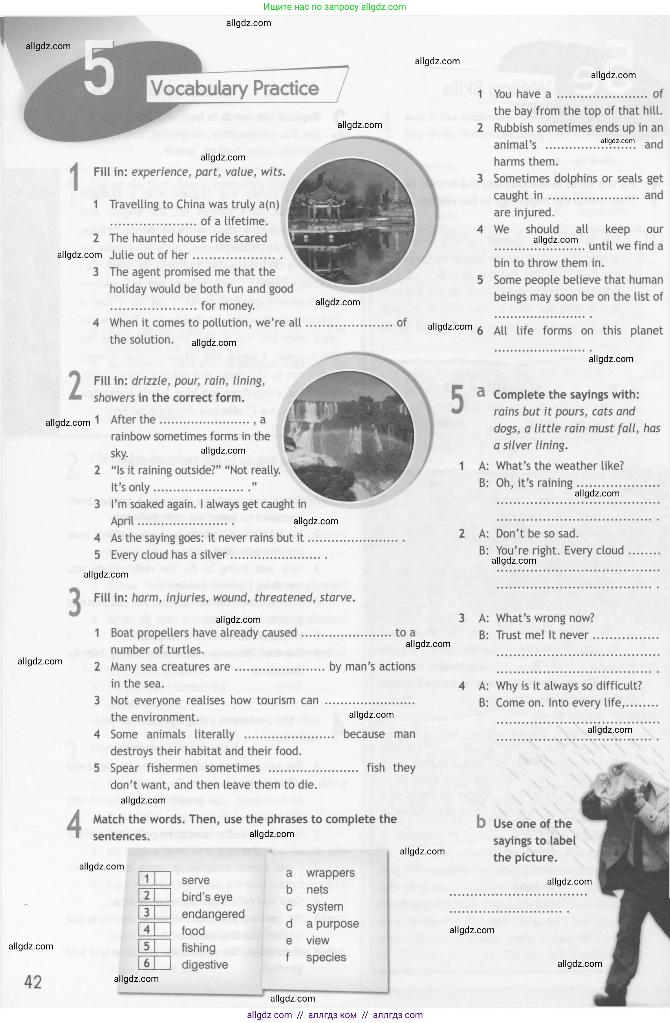 Английский язык (english), 10 класс Рабочая тетрадь (workbook), авторы: Афанасьева Ольга Васильевна (Afanasyeva Olga), Дули Дженни (Dooley Jenny), Михеева Ирина Владимировна (Mikheeva Irina), Оби Боб (Obee Bob), Эванс Вирджиния (Evans Virginia), издательство Просвещение, Москва, 2019, красного цвета, страница 42