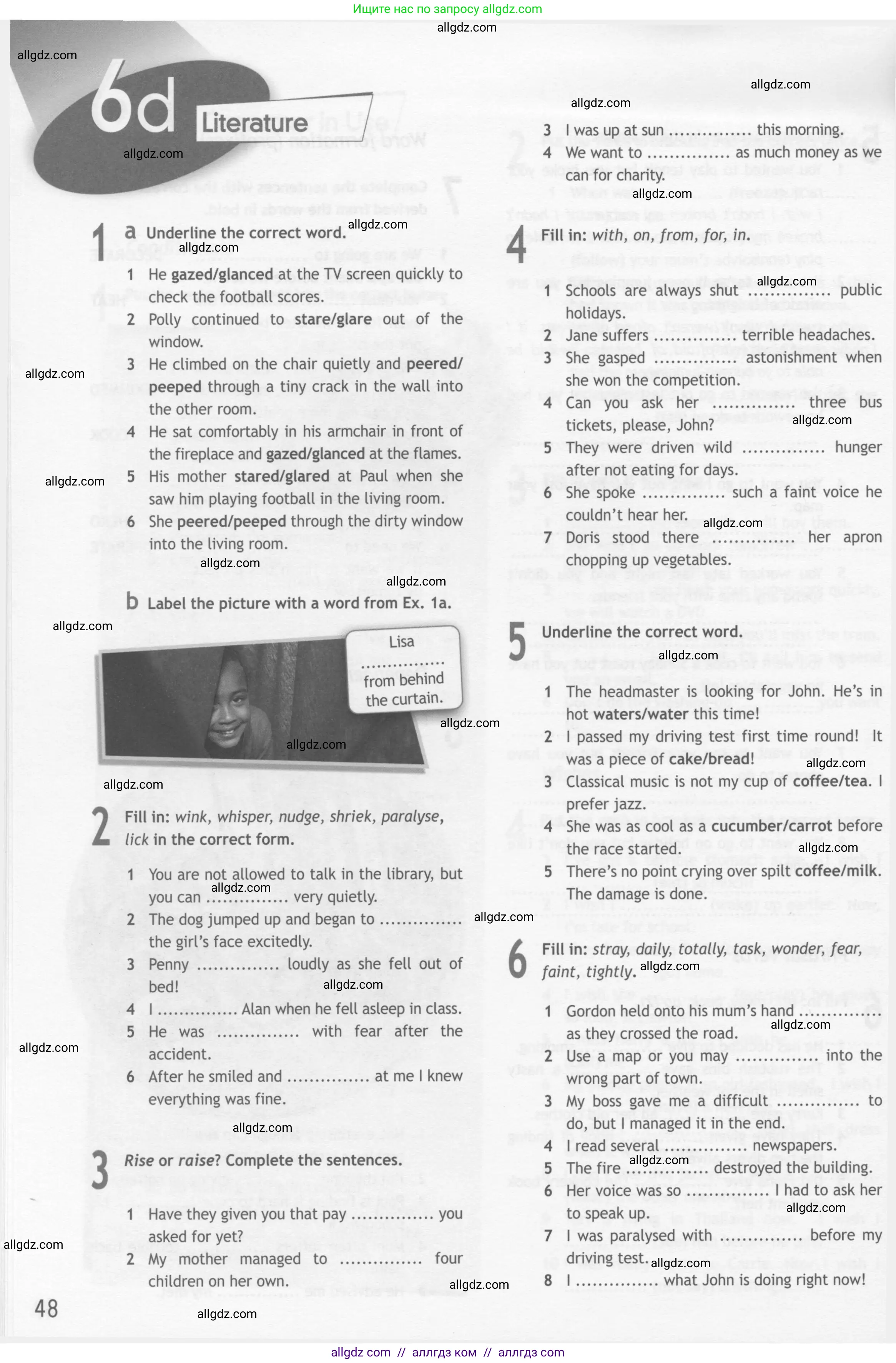 Английский язык (english), 10 класс Рабочая тетрадь (workbook), авторы: Афанасьева Ольга Васильевна (Afanasyeva Olga), Дули Дженни (Dooley Jenny), Михеева Ирина Владимировна (Mikheeva Irina), Оби Боб (Obee Bob), Эванс Вирджиния (Evans Virginia), издательство Просвещение, Москва, 2019, красного цвета, страница 48