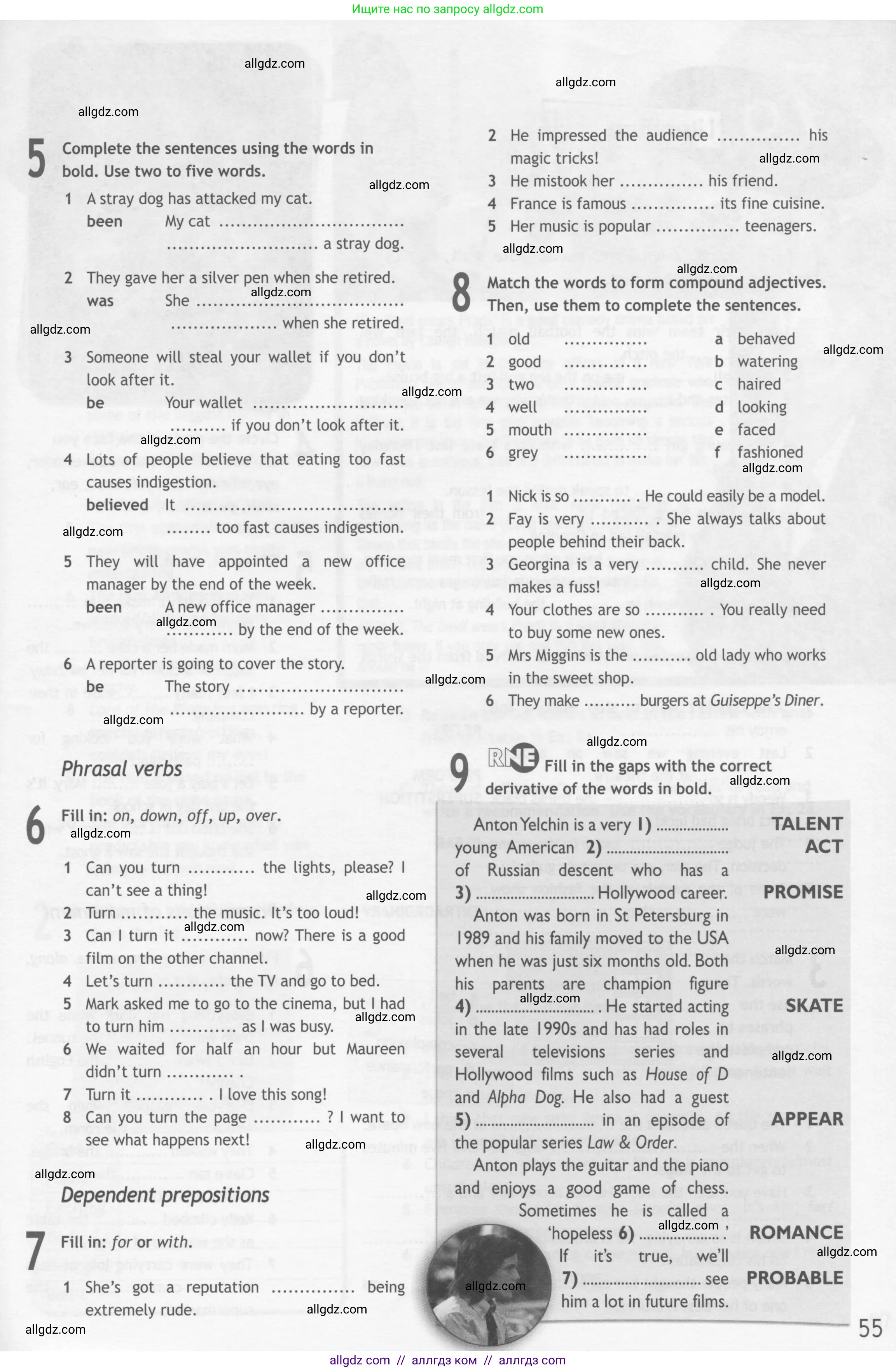 Английский язык (english), 10 класс Рабочая тетрадь (workbook), авторы: Афанасьева Ольга Васильевна (Afanasyeva Olga), Дули Дженни (Dooley Jenny), Михеева Ирина Владимировна (Mikheeva Irina), Оби Боб (Obee Bob), Эванс Вирджиния (Evans Virginia), издательство Просвещение, Москва, 2019, красного цвета, страница 55