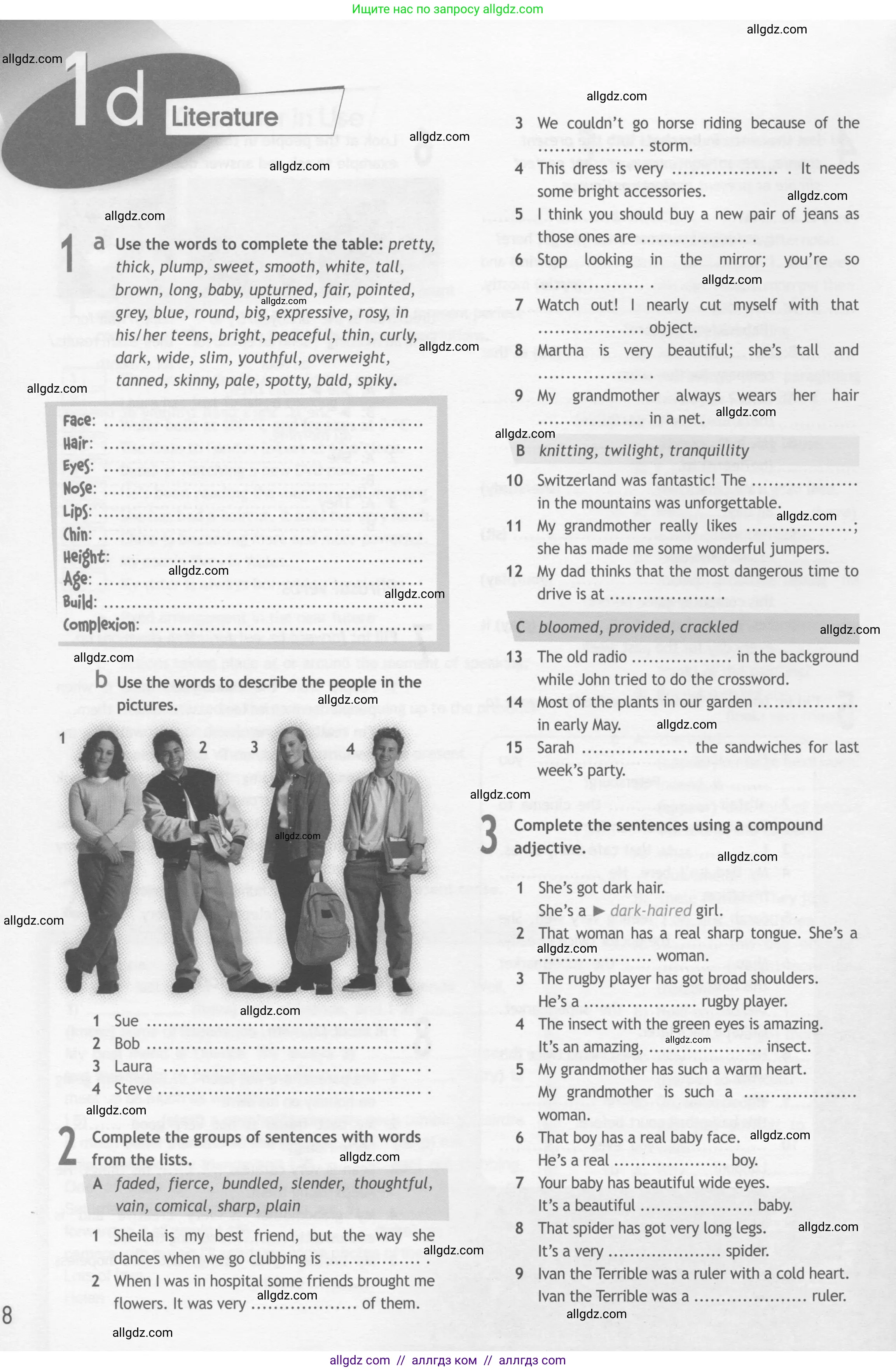 Английский язык (english), 10 класс Рабочая тетрадь (workbook), авторы: Афанасьева Ольга Васильевна (Afanasyeva Olga), Дули Дженни (Dooley Jenny), Михеева Ирина Владимировна (Mikheeva Irina), Оби Боб (Obee Bob), Эванс Вирджиния (Evans Virginia), издательство Просвещение, Москва, 2019, красного цвета, страница 8