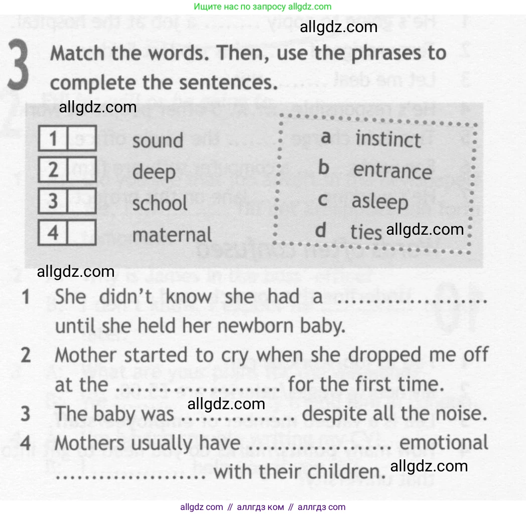 Английский язык (english), 10 класс Рабочая тетрадь (workbook), авторы: Афанасьева Ольга Васильевна (Afanasyeva Olga), Дули Дженни (Dooley Jenny), Михеева Ирина Владимировна (Mikheeva Irina), Оби Боб (Obee Bob), Эванс Вирджиния (Evans Virginia), издательство Просвещение, Москва, 2019, красного цвета, страница 24, номер 3, Условие