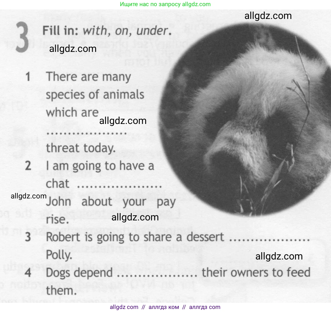 Английский язык (english), 10 класс Рабочая тетрадь (workbook), авторы: Афанасьева Ольга Васильевна (Afanasyeva Olga), Дули Дженни (Dooley Jenny), Михеева Ирина Владимировна (Mikheeva Irina), Оби Боб (Obee Bob), Эванс Вирджиния (Evans Virginia), издательство Просвещение, Москва, 2019, красного цвета, страница 26, номер 3, Условие