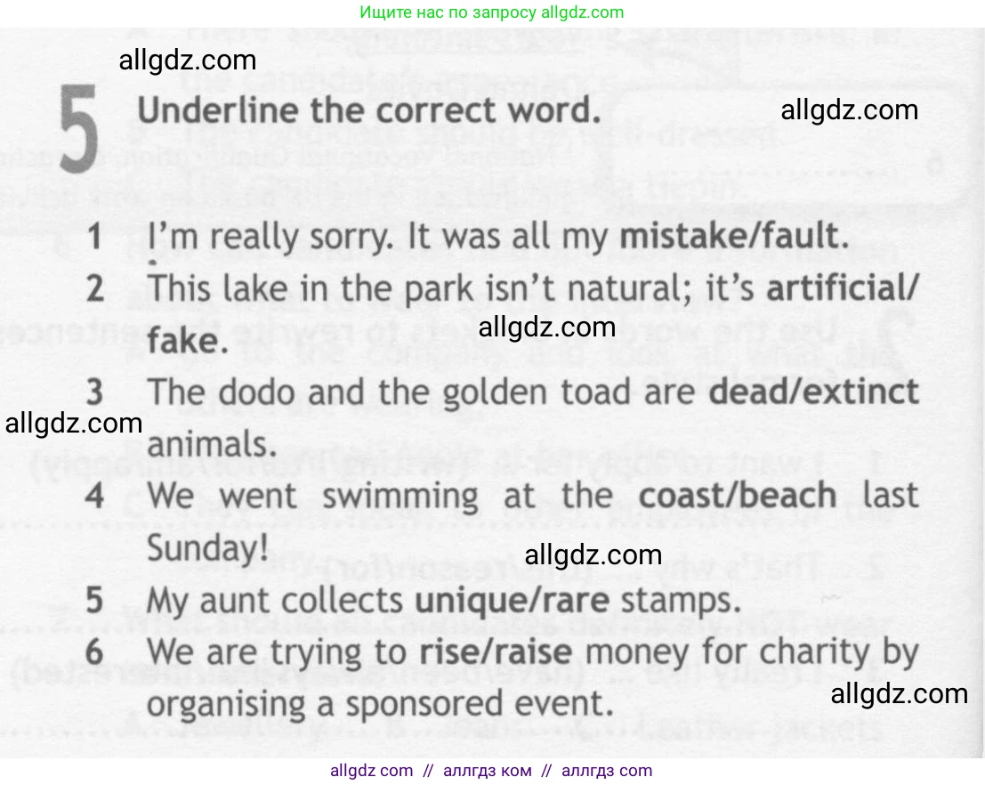 Английский язык (english), 10 класс Рабочая тетрадь (workbook), авторы: Афанасьева Ольга Васильевна (Afanasyeva Olga), Дули Дженни (Dooley Jenny), Михеева Ирина Владимировна (Mikheeva Irina), Оби Боб (Obee Bob), Эванс Вирджиния (Evans Virginia), издательство Просвещение, Москва, 2019, красного цвета, страница 26, номер 5, Условие