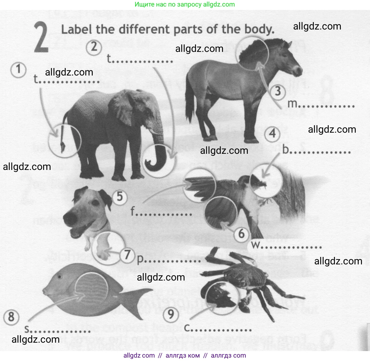 Английский язык (english), 10 класс Рабочая тетрадь (workbook), авторы: Афанасьева Ольга Васильевна (Afanasyeva Olga), Дули Дженни (Dooley Jenny), Михеева Ирина Владимировна (Mikheeva Irina), Оби Боб (Obee Bob), Эванс Вирджиния (Evans Virginia), издательство Просвещение, Москва, 2019, красного цвета, страница 32, номер 2, Условие