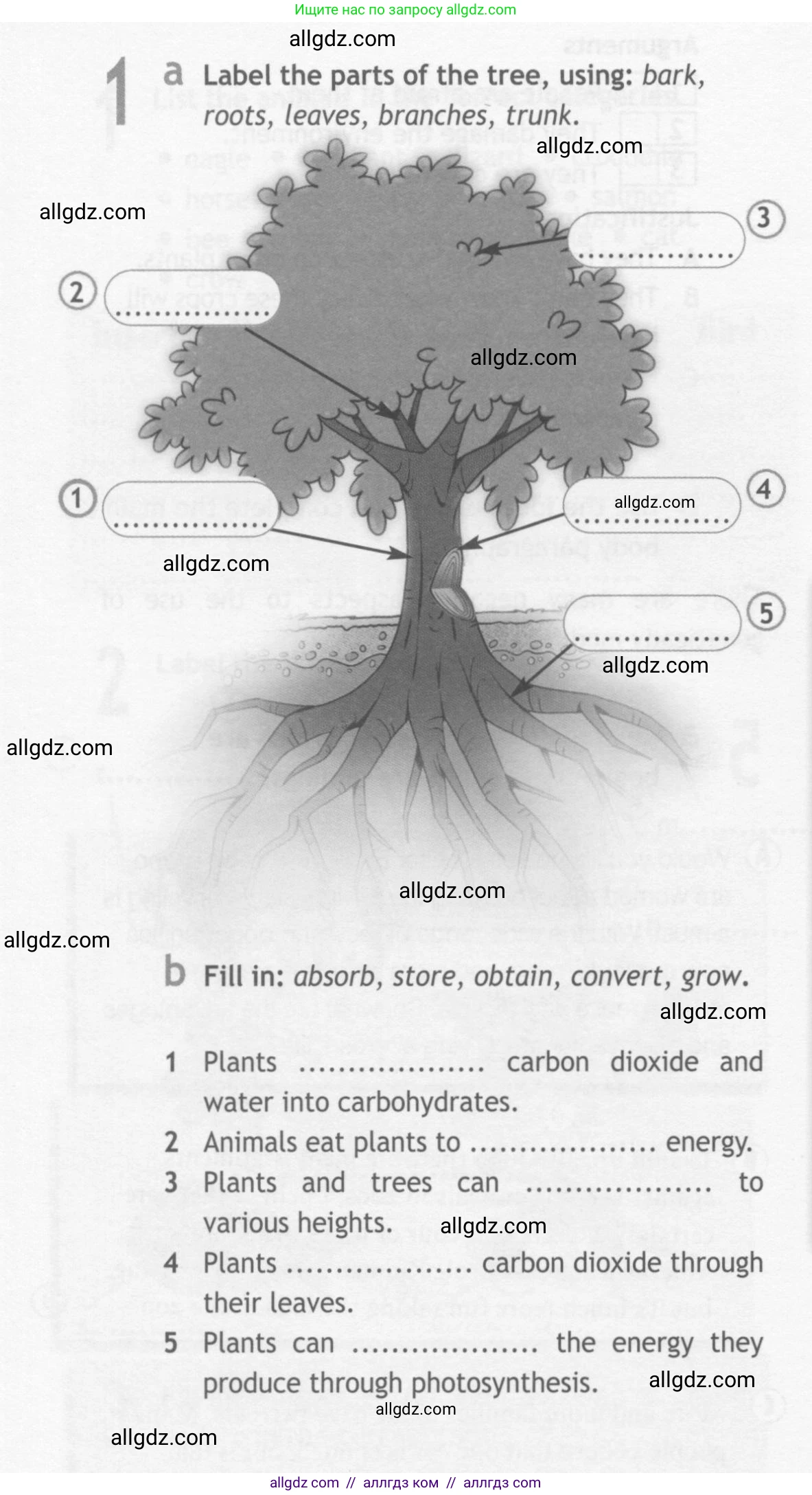 Английский язык (english), 10 класс Рабочая тетрадь (workbook), авторы: Афанасьева Ольга Васильевна (Afanasyeva Olga), Дули Дженни (Dooley Jenny), Михеева Ирина Владимировна (Mikheeva Irina), Оби Боб (Obee Bob), Эванс Вирджиния (Evans Virginia), издательство Просвещение, Москва, 2019, красного цвета, страница 34, номер 1, Условие