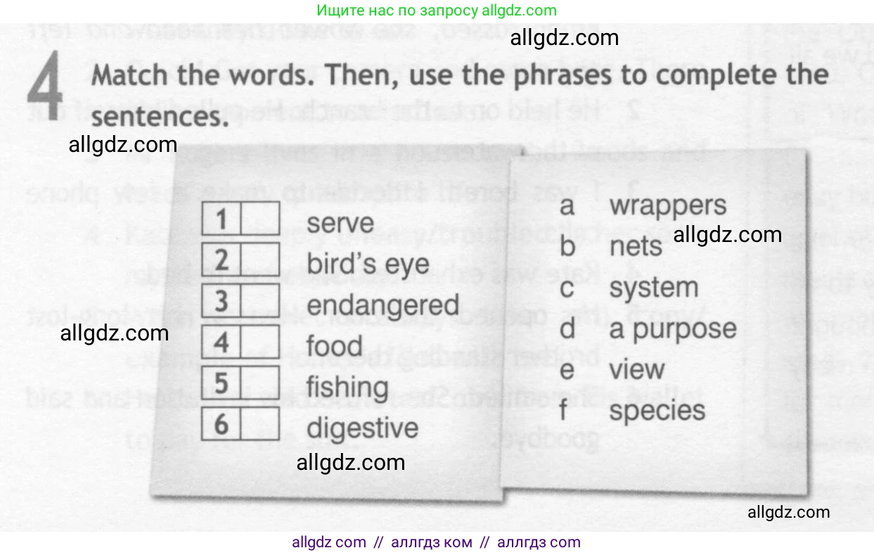 Английский язык (english), 10 класс Рабочая тетрадь (workbook), авторы: Афанасьева Ольга Васильевна (Afanasyeva Olga), Дули Дженни (Dooley Jenny), Михеева Ирина Владимировна (Mikheeva Irina), Оби Боб (Obee Bob), Эванс Вирджиния (Evans Virginia), издательство Просвещение, Москва, 2019, красного цвета, страница 42, номер 4, Условие