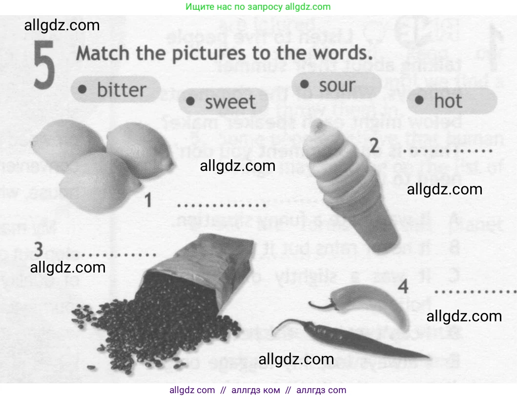 Английский язык (english), 10 класс Рабочая тетрадь (workbook), авторы: Афанасьева Ольга Васильевна (Afanasyeva Olga), Дули Дженни (Dooley Jenny), Михеева Ирина Владимировна (Mikheeva Irina), Оби Боб (Obee Bob), Эванс Вирджиния (Evans Virginia), издательство Просвещение, Москва, 2019, красного цвета, страница 44, номер 5, Условие