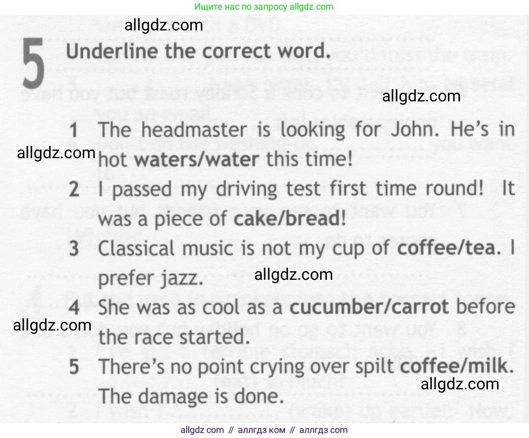 Английский язык (english), 10 класс Рабочая тетрадь (workbook), авторы: Афанасьева Ольга Васильевна (Afanasyeva Olga), Дули Дженни (Dooley Jenny), Михеева Ирина Владимировна (Mikheeva Irina), Оби Боб (Obee Bob), Эванс Вирджиния (Evans Virginia), издательство Просвещение, Москва, 2019, красного цвета, страница 48, номер 5, Условие