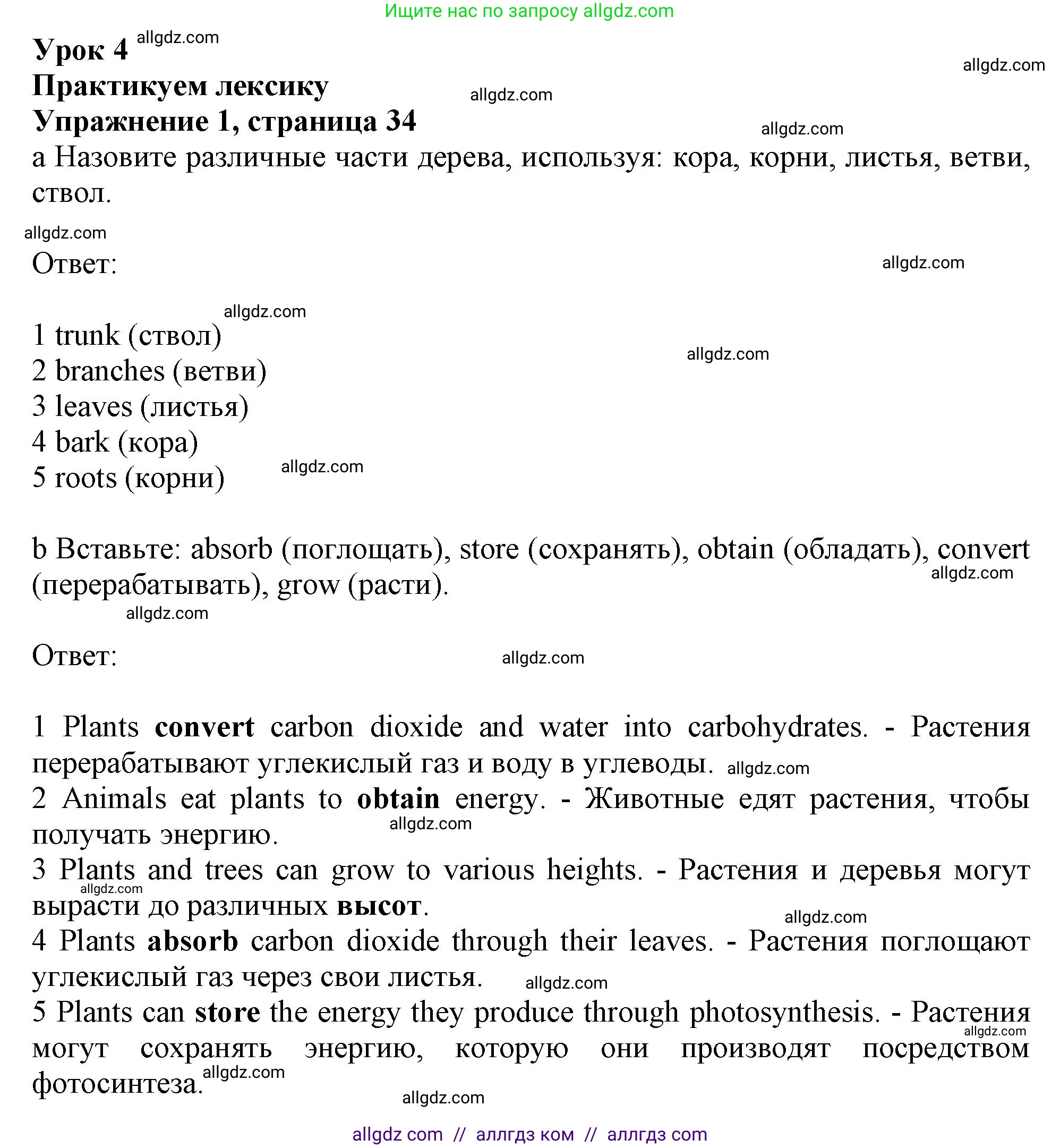 Английский язык (english), 10 класс Рабочая тетрадь (workbook), авторы: Афанасьева Ольга Васильевна (Afanasyeva Olga), Дули Дженни (Dooley Jenny), Михеева Ирина Владимировна (Mikheeva Irina), Оби Боб (Obee Bob), Эванс Вирджиния (Evans Virginia), издательство Просвещение, Москва, 2019, красного цвета, страница 34, номер 1, Решение 1