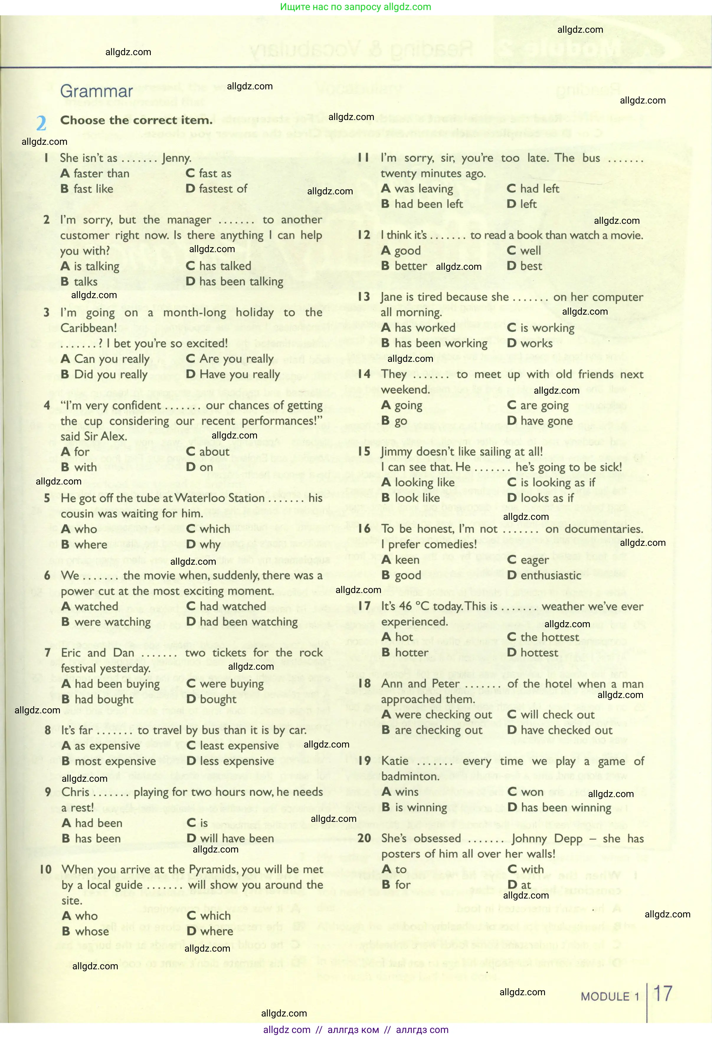 Английский язык (english), 10 класс Рабочая тетрадь (workbook), авторы: Баранова Ксения Михайловна (Baranova Ksenia), Дули Дженни (Dooley Jenny), Копылова Виктория Викторовна (Kopylova Victoria), Мильруд Радислав Петрович (Millrood Radislav), Эванс Вирджиния (Evans Virginia), издательство Просвещение, Москва, 2019, белого цвета, страница 17