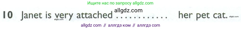 Английский язык (english), 10 класс Рабочая тетрадь (workbook), авторы: Баранова Ксения Михайловна (Baranova Ksenia), Дули Дженни (Dooley Jenny), Копылова Виктория Викторовна (Kopylova Victoria), Мильруд Радислав Петрович (Millrood Radislav), Эванс Вирджиния (Evans Virginia), издательство Просвещение, Москва, 2019, белого цвета, страница 96, номер 10, Условие