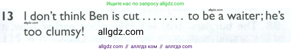 Английский язык (english), 10 класс Рабочая тетрадь (workbook), авторы: Баранова Ксения Михайловна (Baranova Ksenia), Дули Дженни (Dooley Jenny), Копылова Виктория Викторовна (Kopylova Victoria), Мильруд Радислав Петрович (Millrood Radislav), Эванс Вирджиния (Evans Virginia), издательство Просвещение, Москва, 2019, белого цвета, страница 99, номер 13, Условие