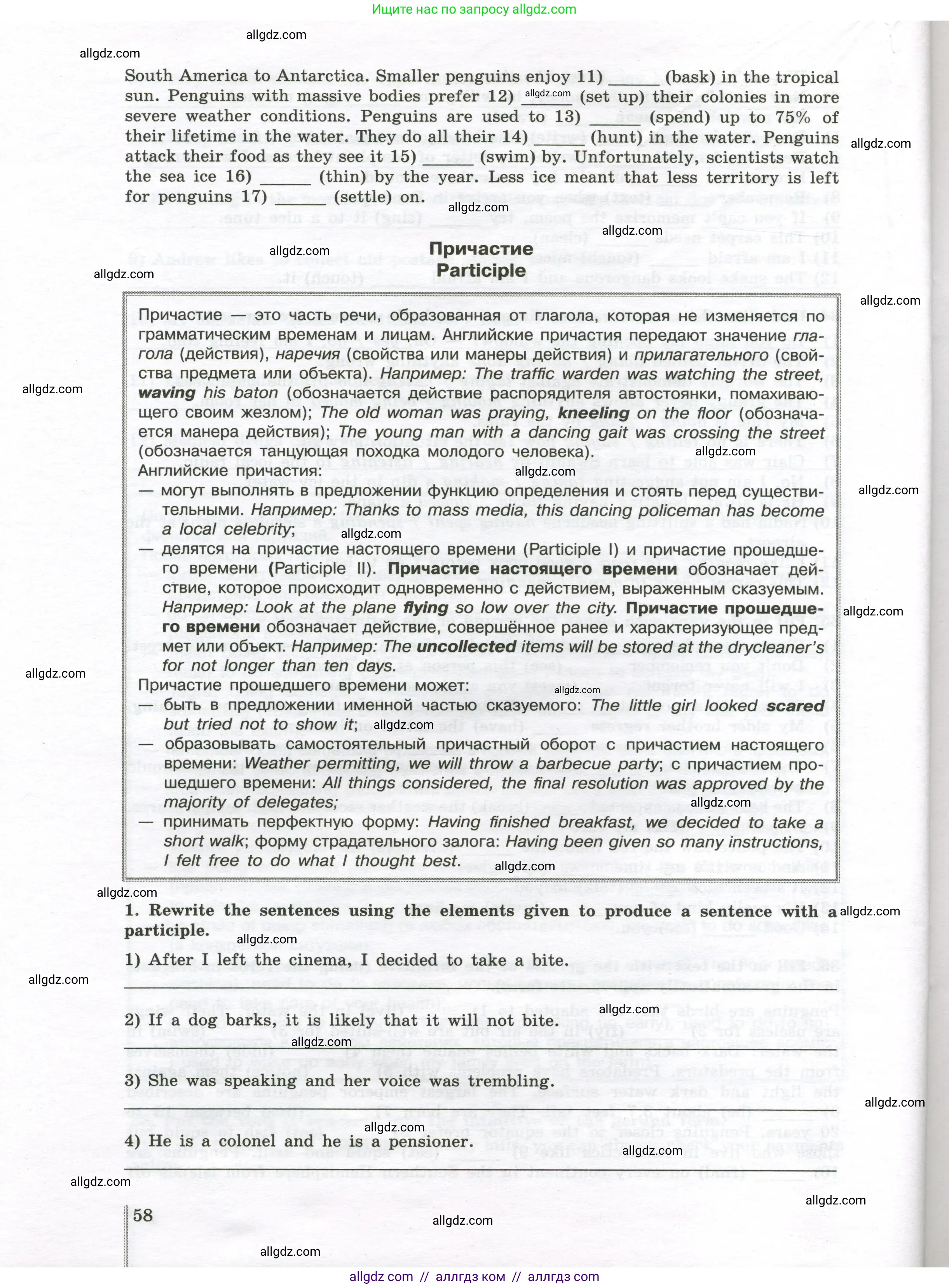 Английский язык (english), 10 класс сборник грамматических упражнений, автор: Мильруд Радислав Петрович (Millrood Radislav), издательство Просвещение, Москва, 2019, белого цвета, страница 58