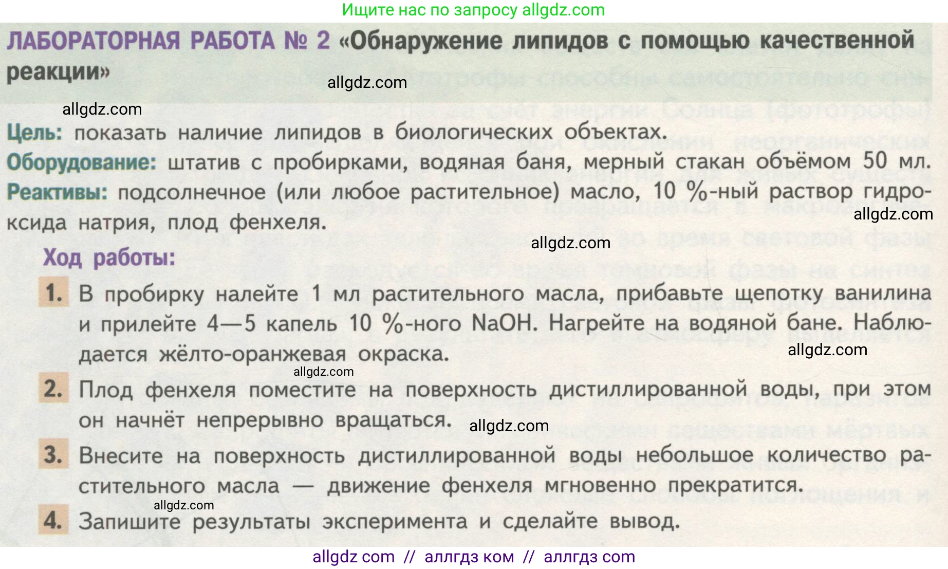Биология, 10 класс Учебник, авторы: Пасечник Владимир Васильевич, Каменский Андрей Александрович, Рубцов Александр Михайлович, Швецов Глеб Геннадьевич, Гапонюк Зоя Георгиевна, издательство Просвещение, Москва, 2018, зелёного цвета, страница 62, Условие (продолжение 2)