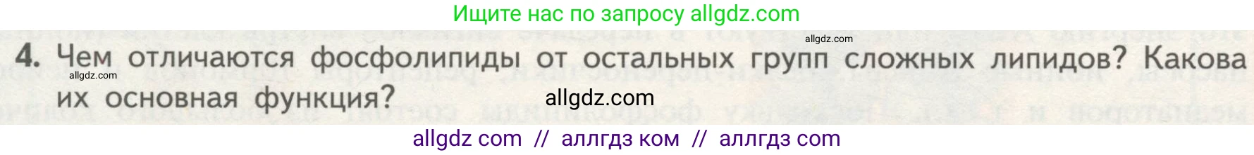 Биология, 10 класс Учебник, авторы: Пасечник Владимир Васильевич, Каменский Андрей Александрович, Рубцов Александр Михайлович, Швецов Глеб Геннадьевич, Гапонюк Зоя Георгиевна, издательство Просвещение, Москва, 2018, зелёного цвета, страница 62, номер 4, Условие