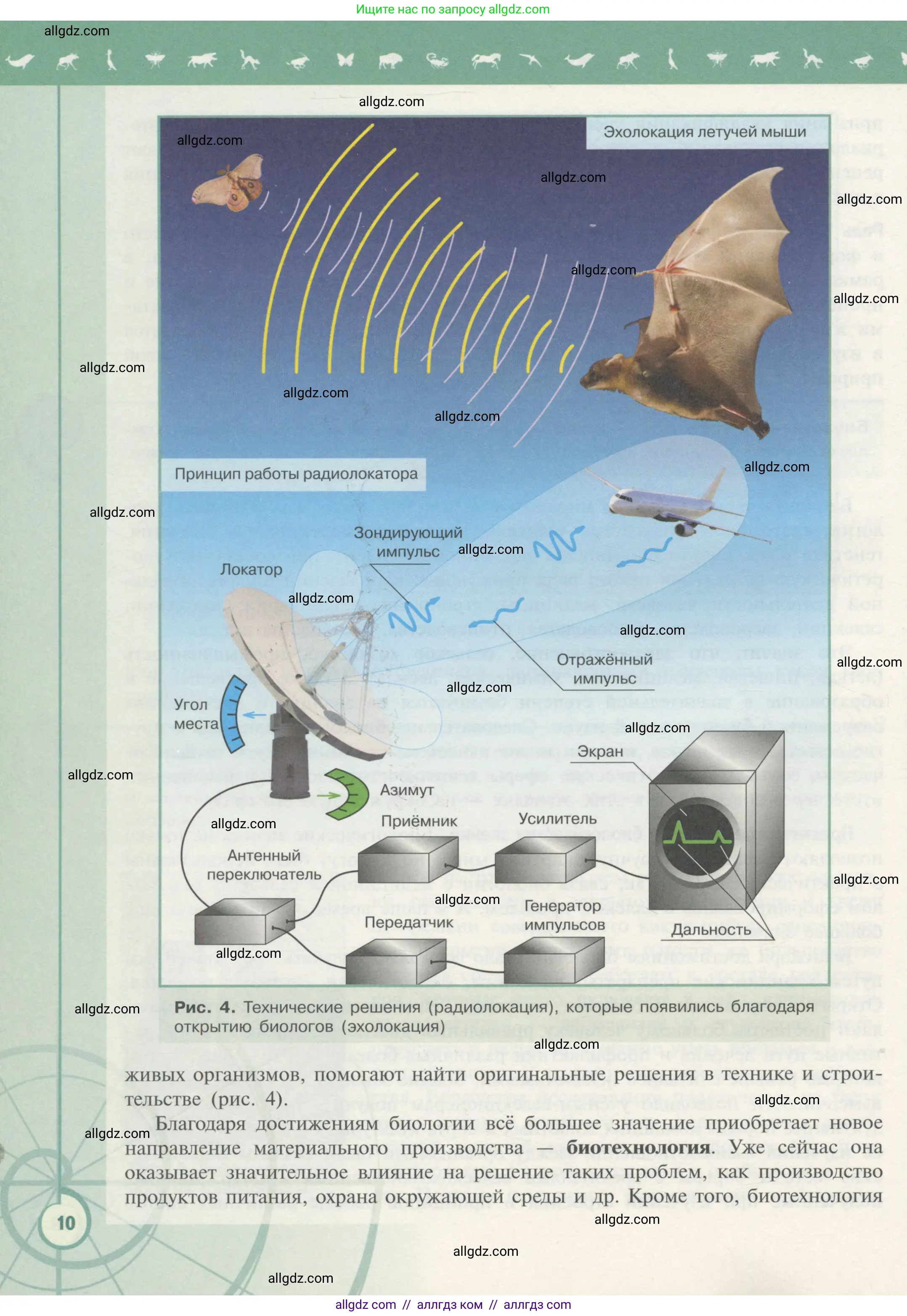 Биология, 10 класс Учебник, авторы: Пасечник Владимир Васильевич, Каменский Андрей Александрович, Рубцов Александр Михайлович, Швецов Глеб Геннадьевич, Гапонюк Зоя Георгиевна, издательство Просвещение, Москва, 2018, зелёного цвета, страница 10
