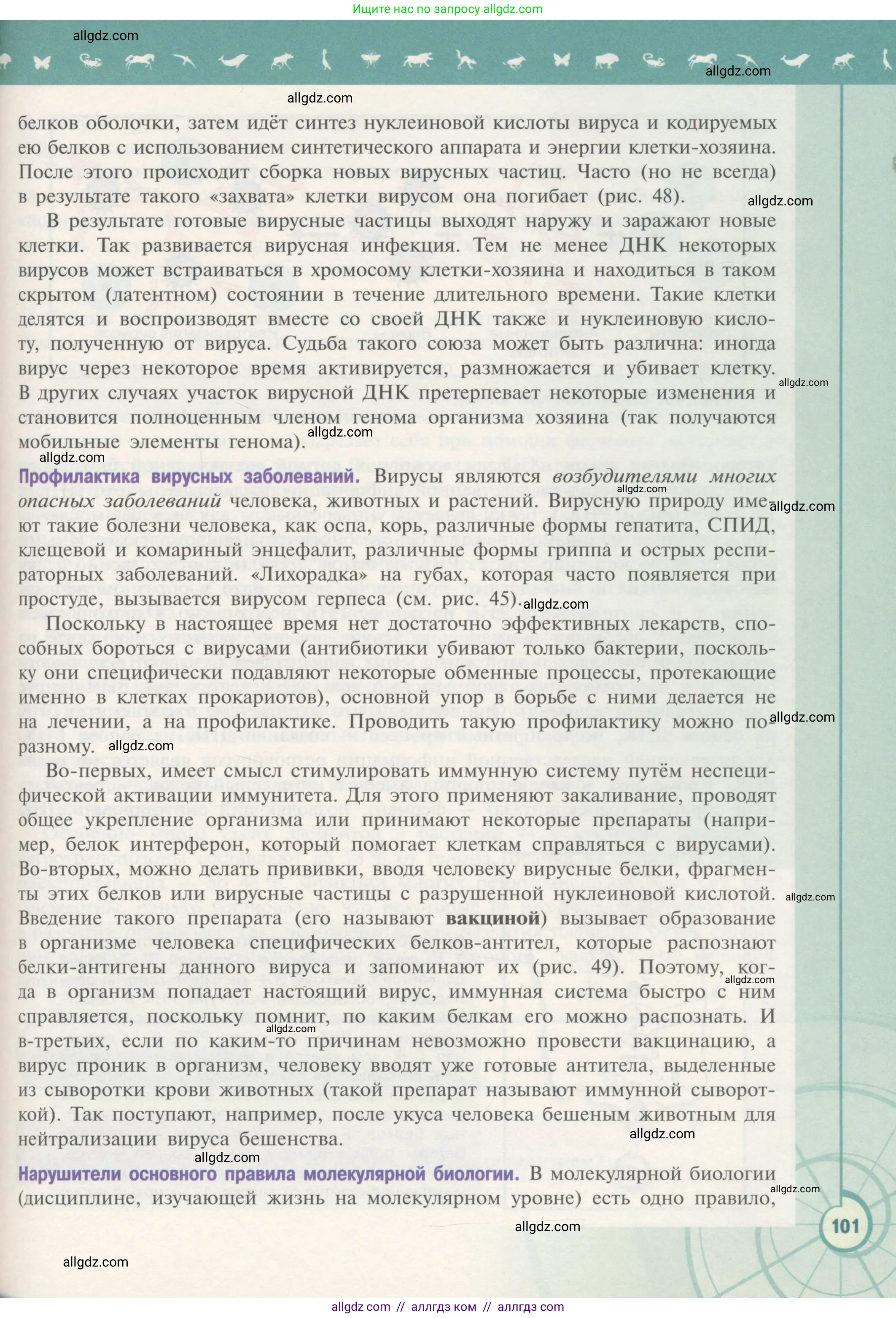 Биология, 10 класс Учебник, авторы: Пасечник Владимир Васильевич, Каменский Андрей Александрович, Рубцов Александр Михайлович, Швецов Глеб Геннадьевич, Гапонюк Зоя Георгиевна, издательство Просвещение, Москва, 2018, зелёного цвета, страница 101
