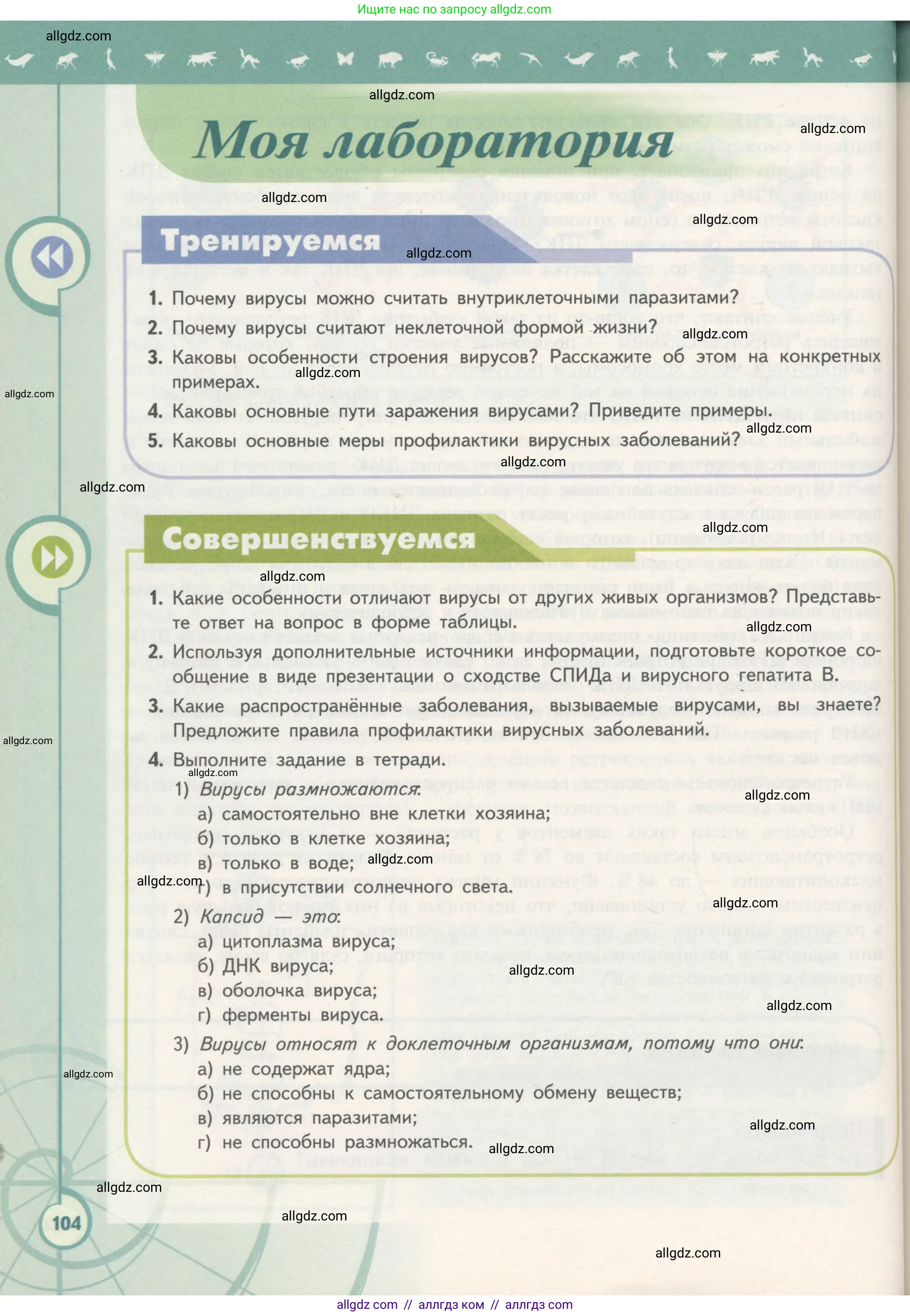 Биология, 10 класс Учебник, авторы: Пасечник Владимир Васильевич, Каменский Андрей Александрович, Рубцов Александр Михайлович, Швецов Глеб Геннадьевич, Гапонюк Зоя Георгиевна, издательство Просвещение, Москва, 2018, зелёного цвета, страница 104