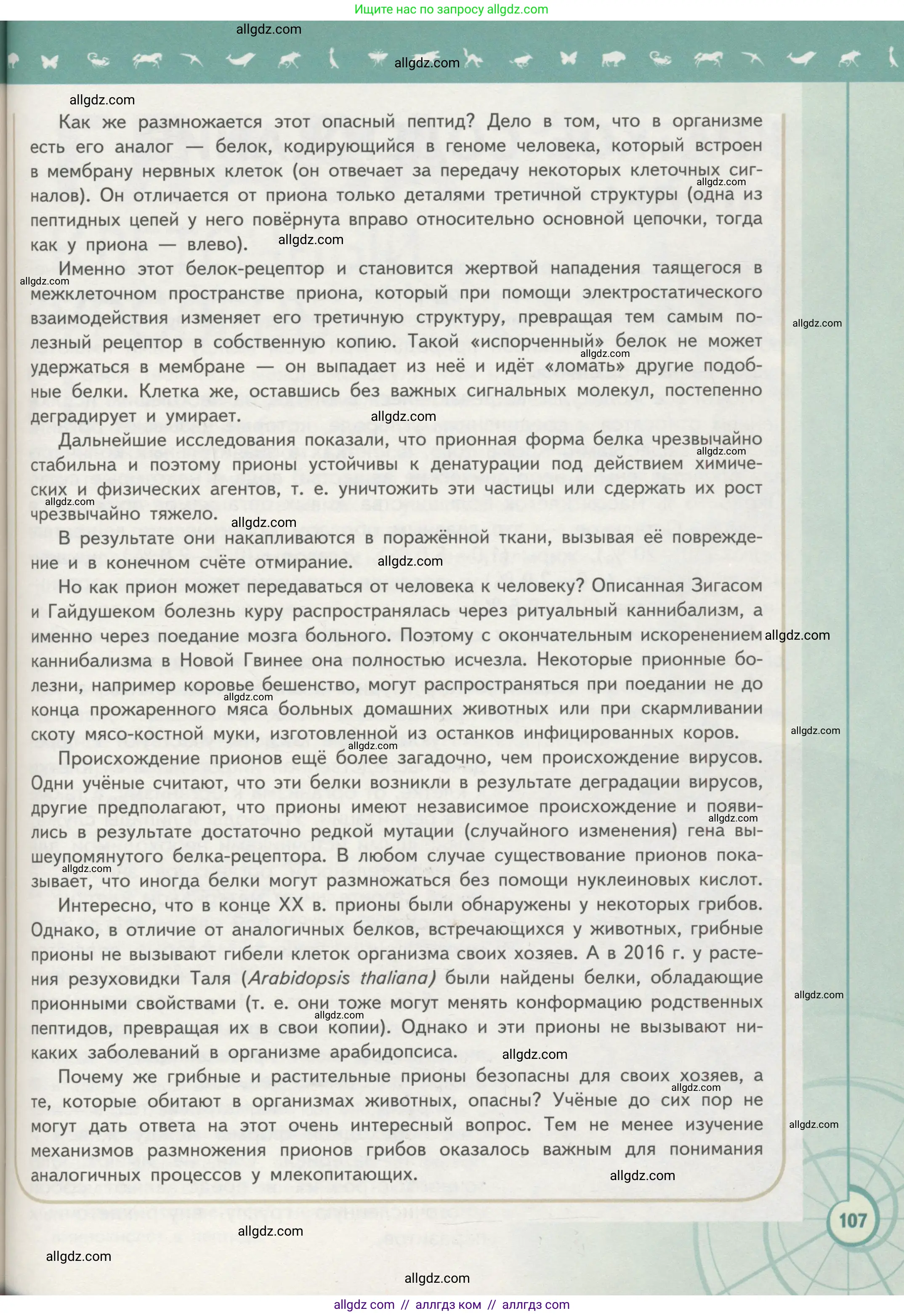 Биология, 10 класс Учебник, авторы: Пасечник Владимир Васильевич, Каменский Андрей Александрович, Рубцов Александр Михайлович, Швецов Глеб Геннадьевич, Гапонюк Зоя Георгиевна, издательство Просвещение, Москва, 2018, зелёного цвета, страница 107