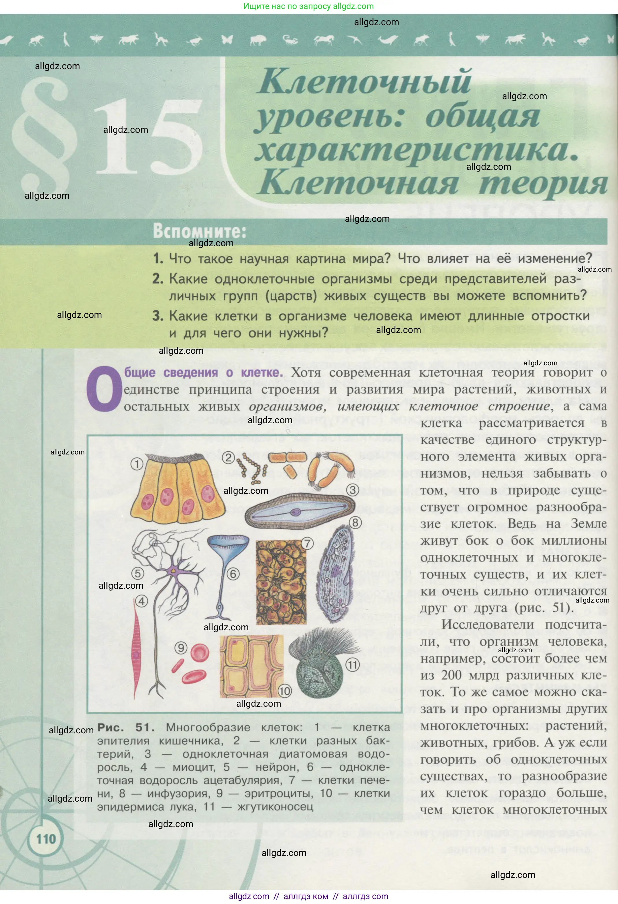 Биология, 10 класс Учебник, авторы: Пасечник Владимир Васильевич, Каменский Андрей Александрович, Рубцов Александр Михайлович, Швецов Глеб Геннадьевич, Гапонюк Зоя Георгиевна, издательство Просвещение, Москва, 2018, зелёного цвета, страница 110