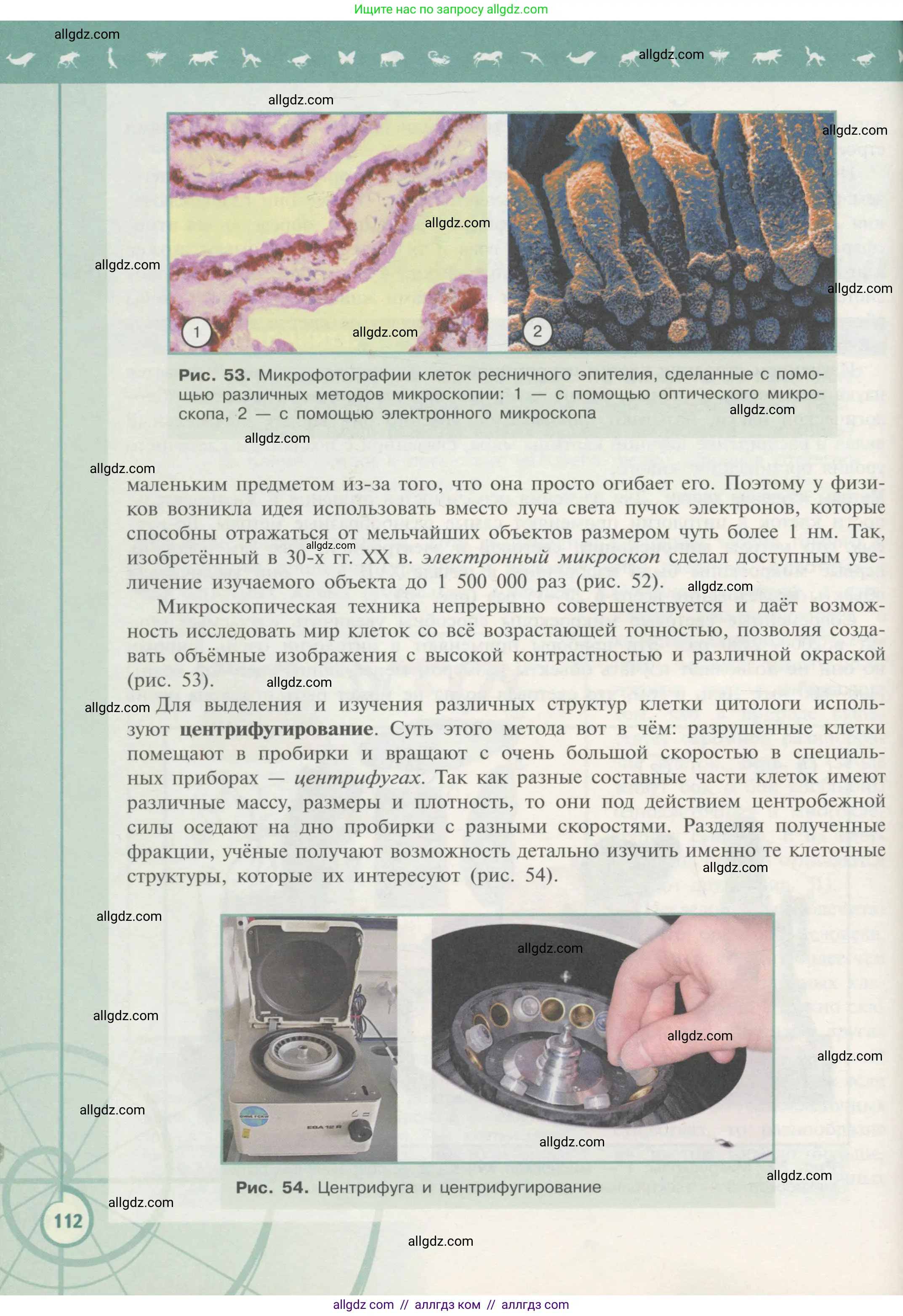 Биология, 10 класс Учебник, авторы: Пасечник Владимир Васильевич, Каменский Андрей Александрович, Рубцов Александр Михайлович, Швецов Глеб Геннадьевич, Гапонюк Зоя Георгиевна, издательство Просвещение, Москва, 2018, зелёного цвета, страница 112
